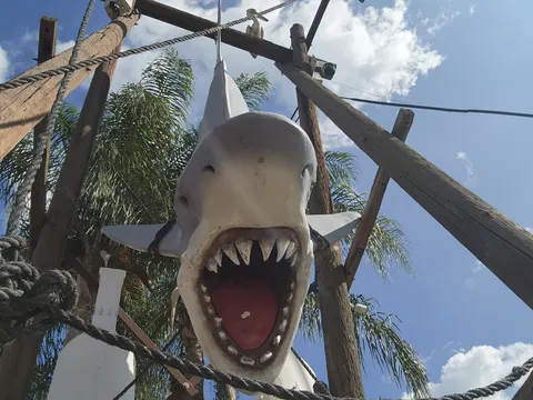 Mariscos Valle image 3