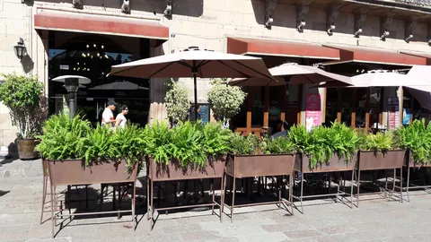 La Posada del Virrey Restaurante image 1
