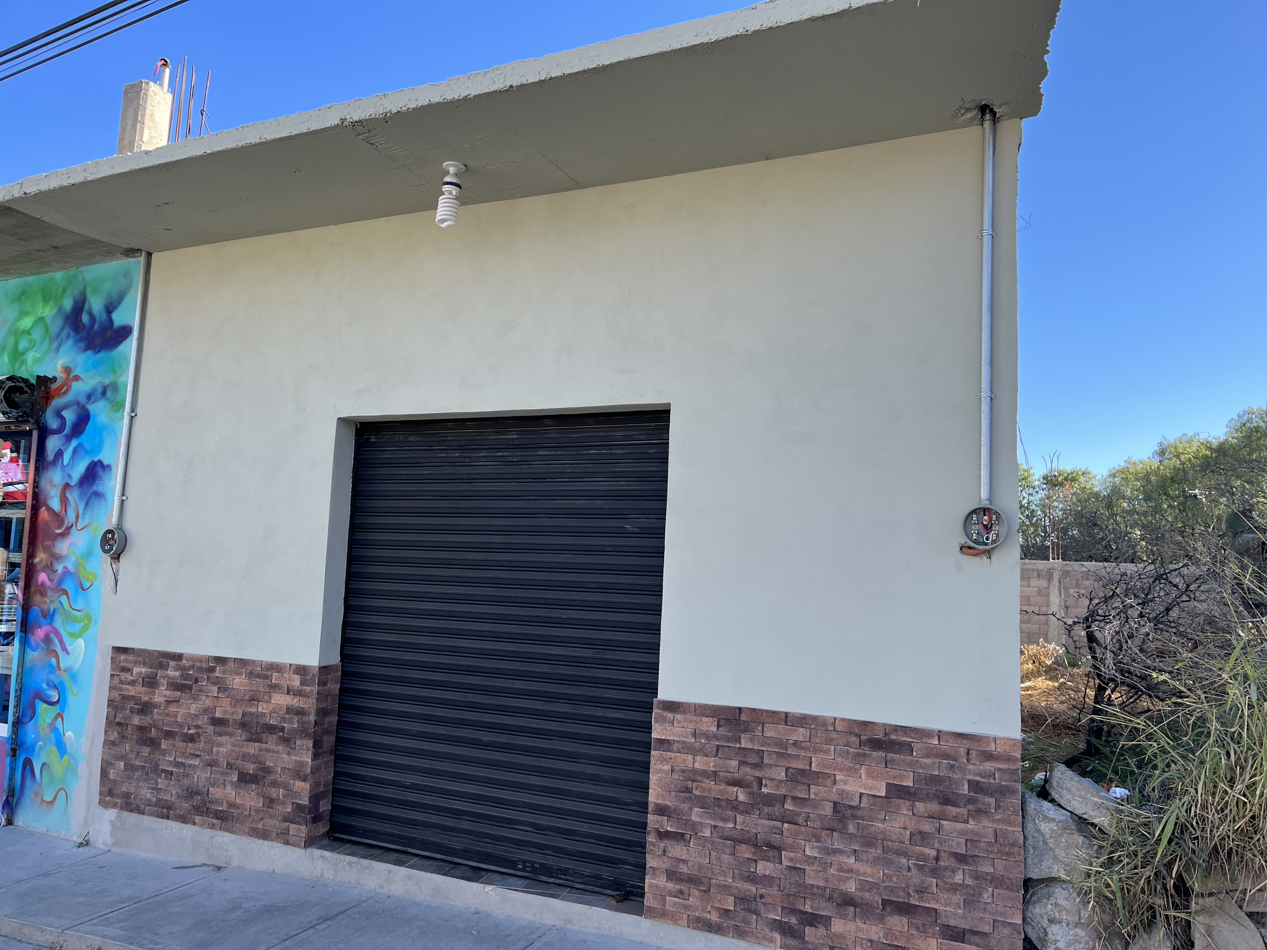 The chino's Lab image 6