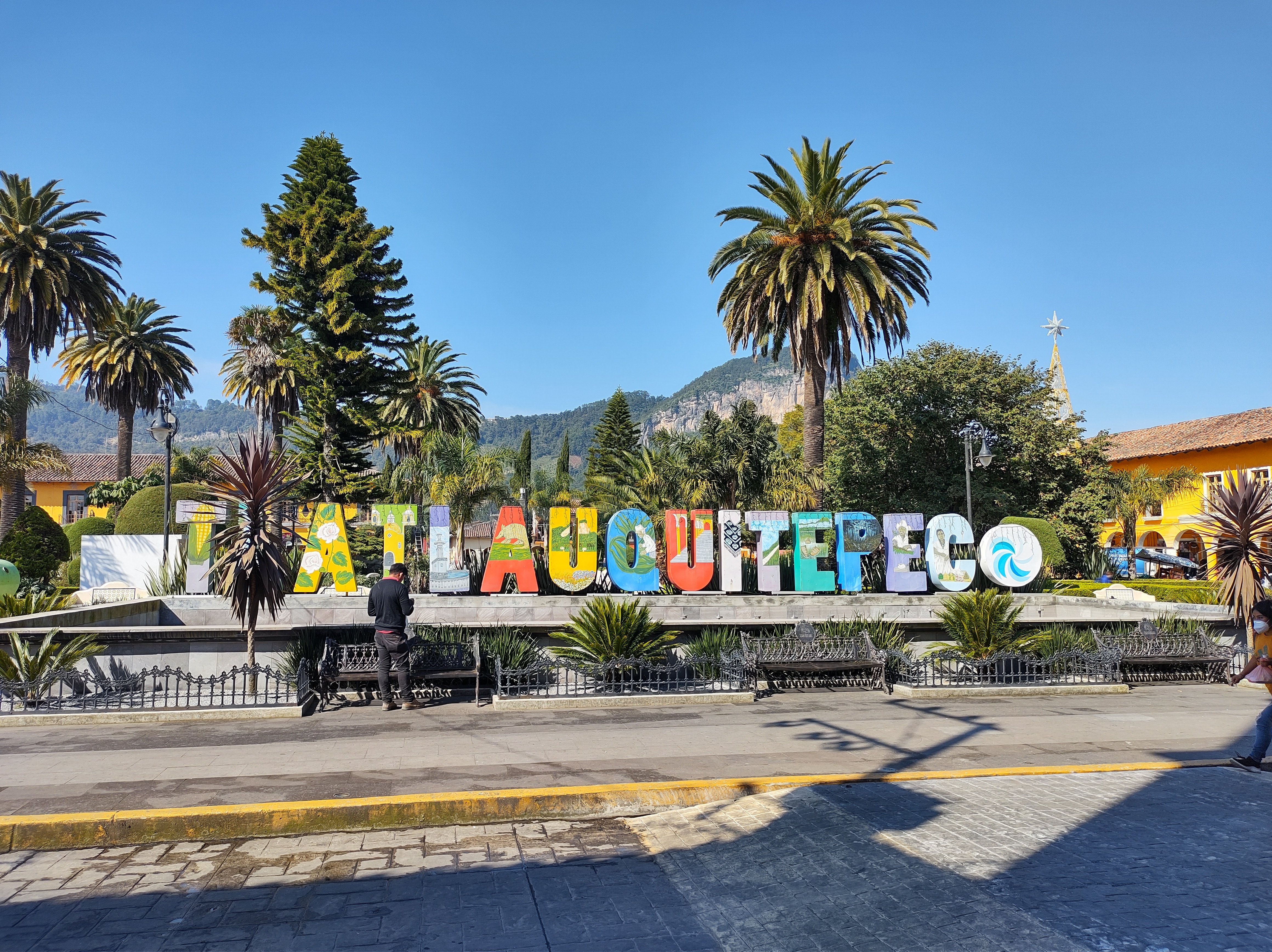 Café Colonial image 7