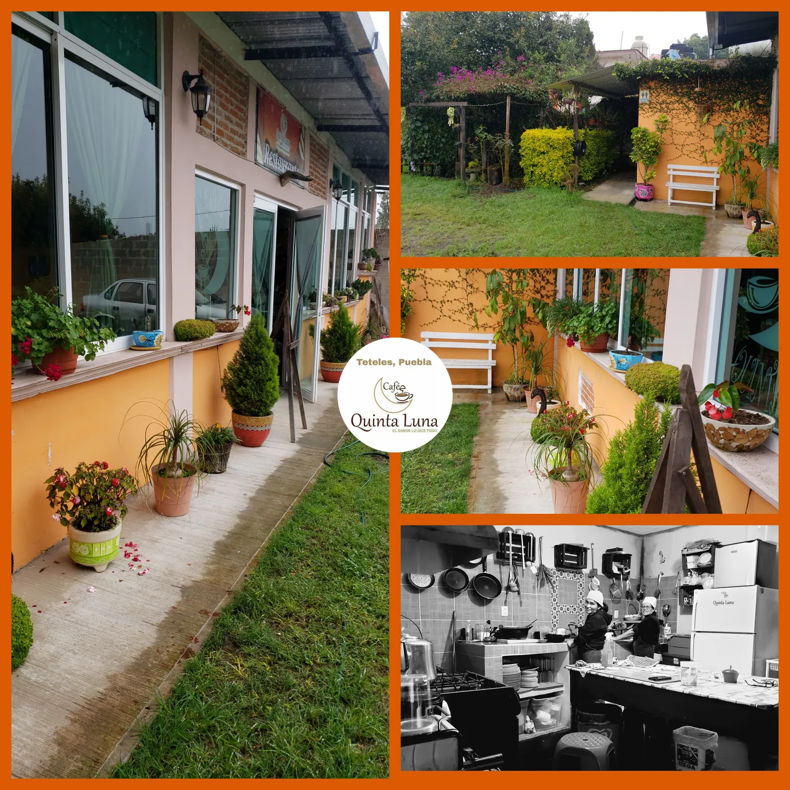 Café Quinta Luna image 5