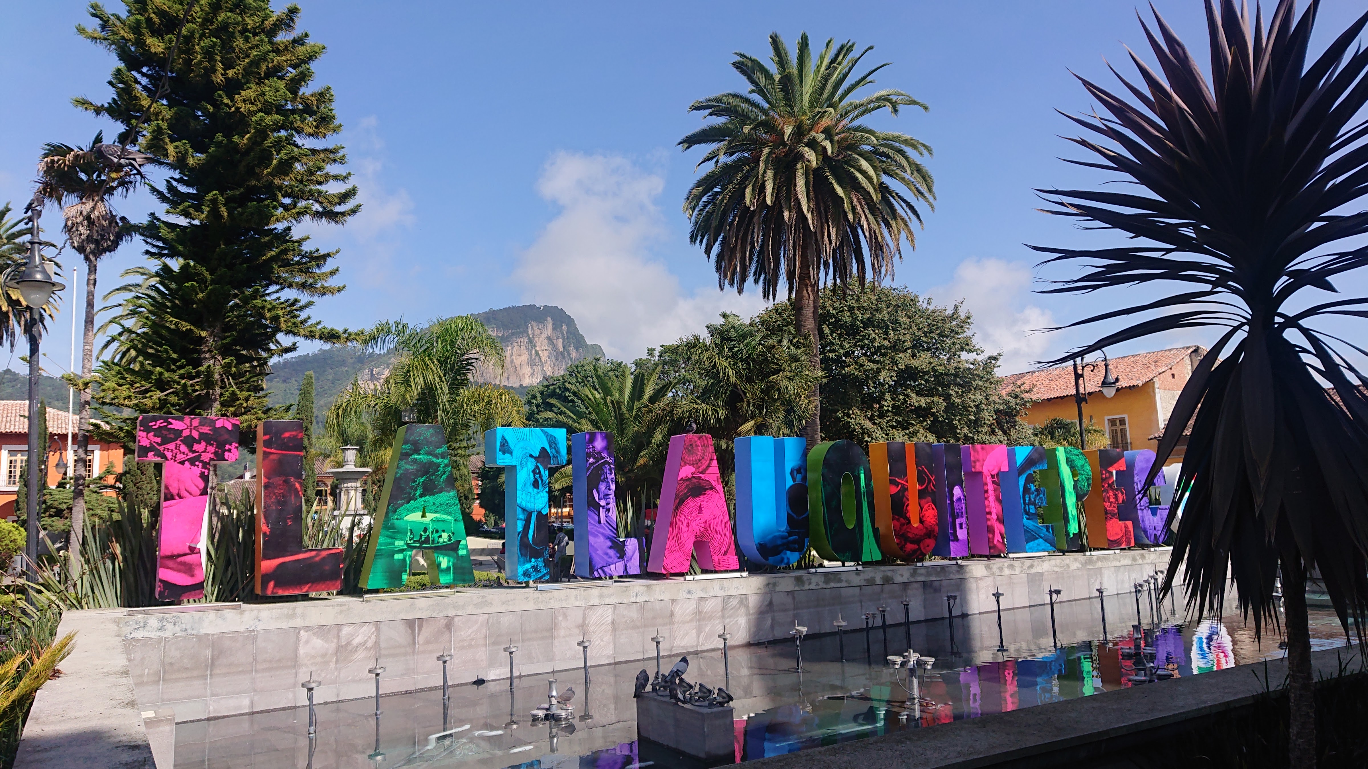 Cocina Tradicional "Doña Tere" image 7