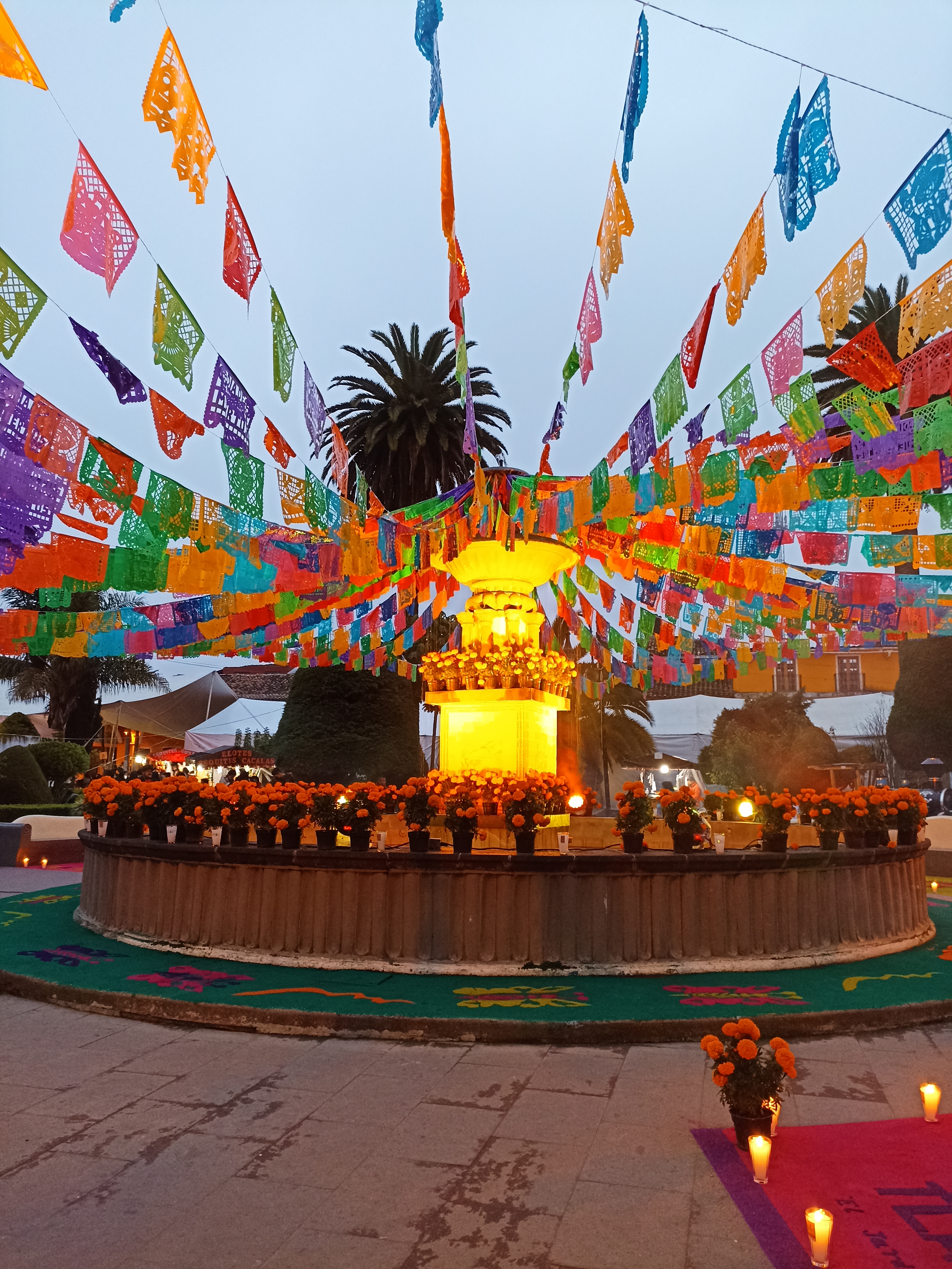 Restaurante Bar el Zarzo image 6