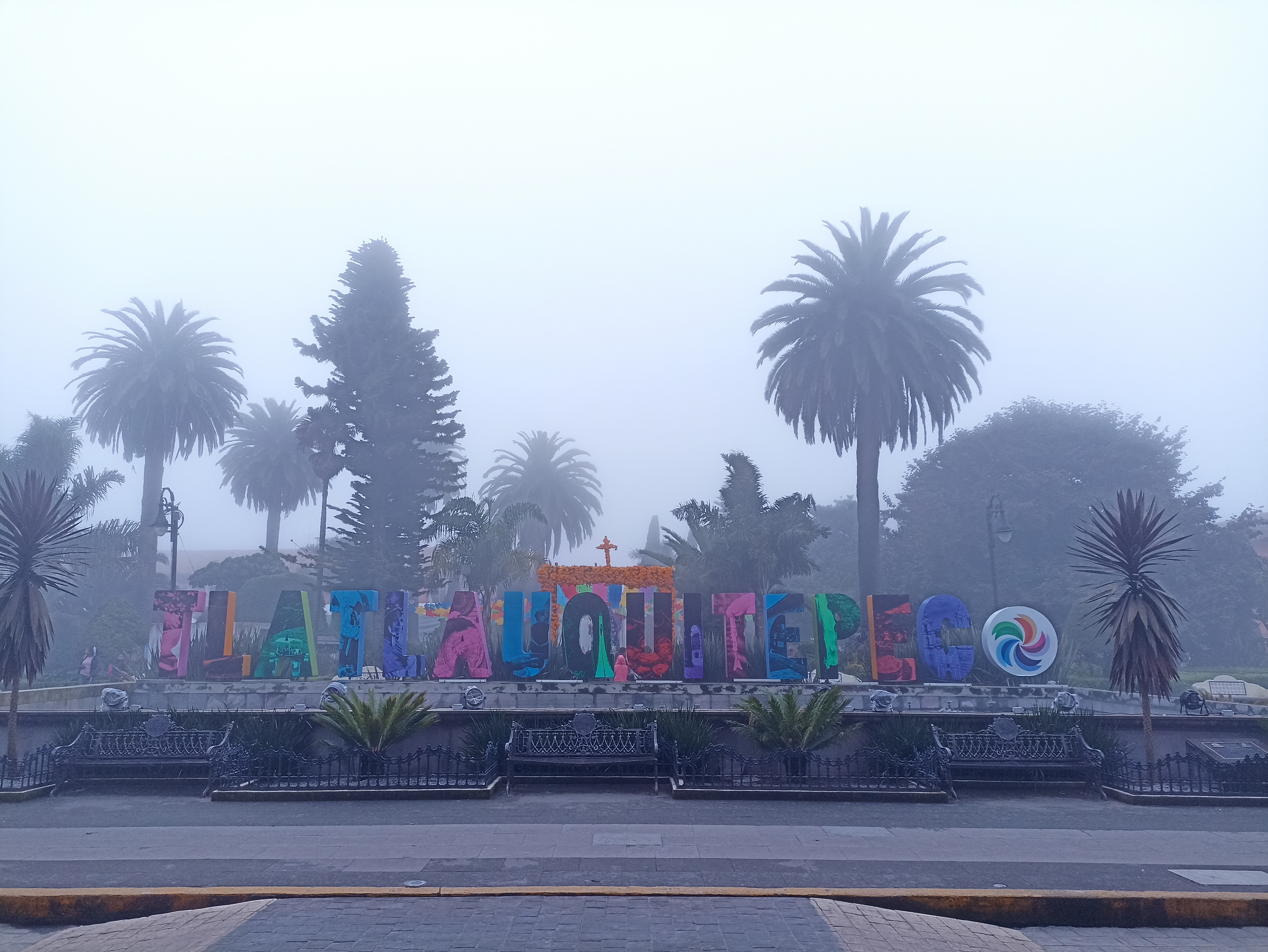 Restaurante Bar el Zarzo image 7