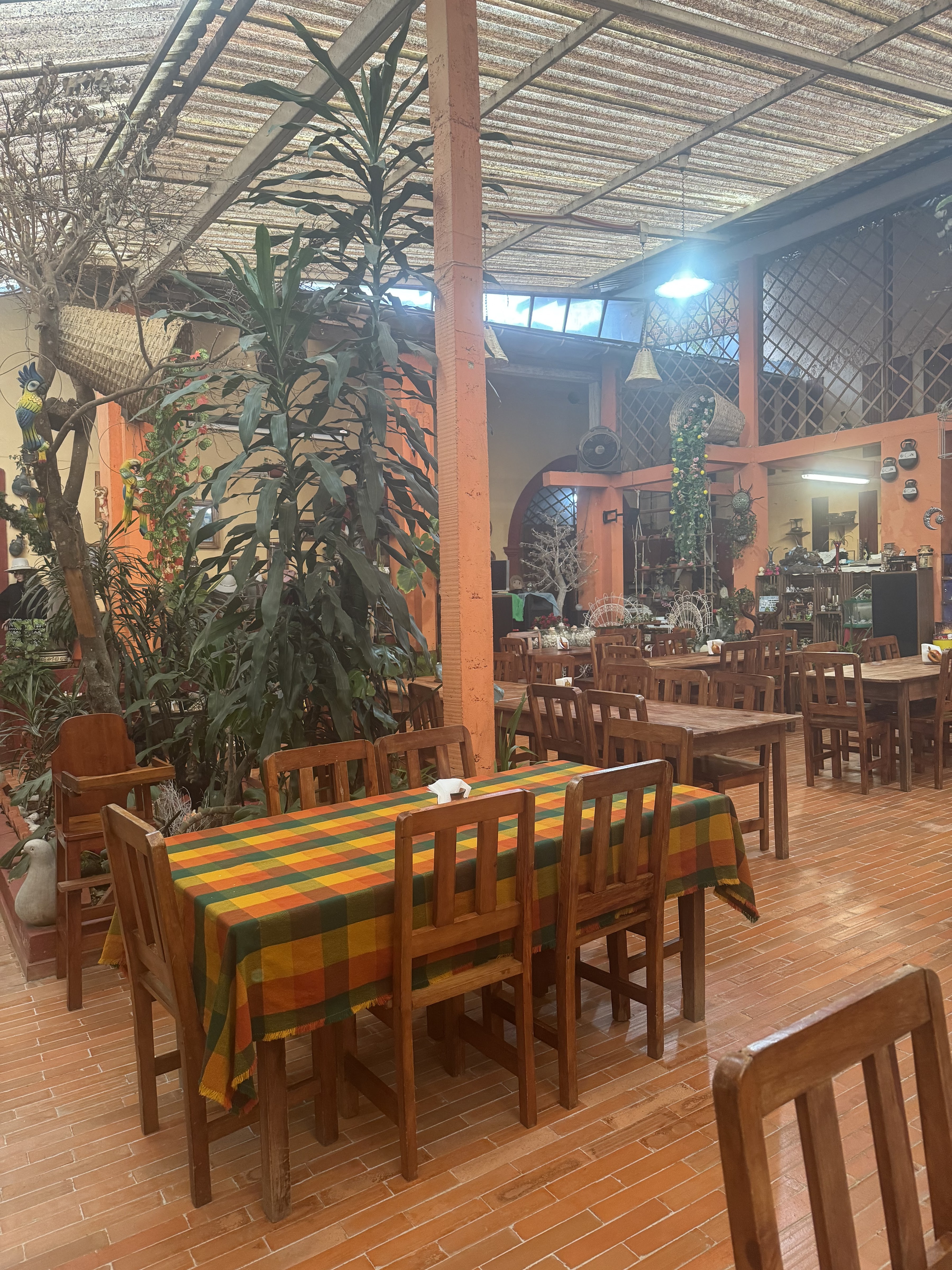 Las Cazuelas Hueyapan Puebla image 3