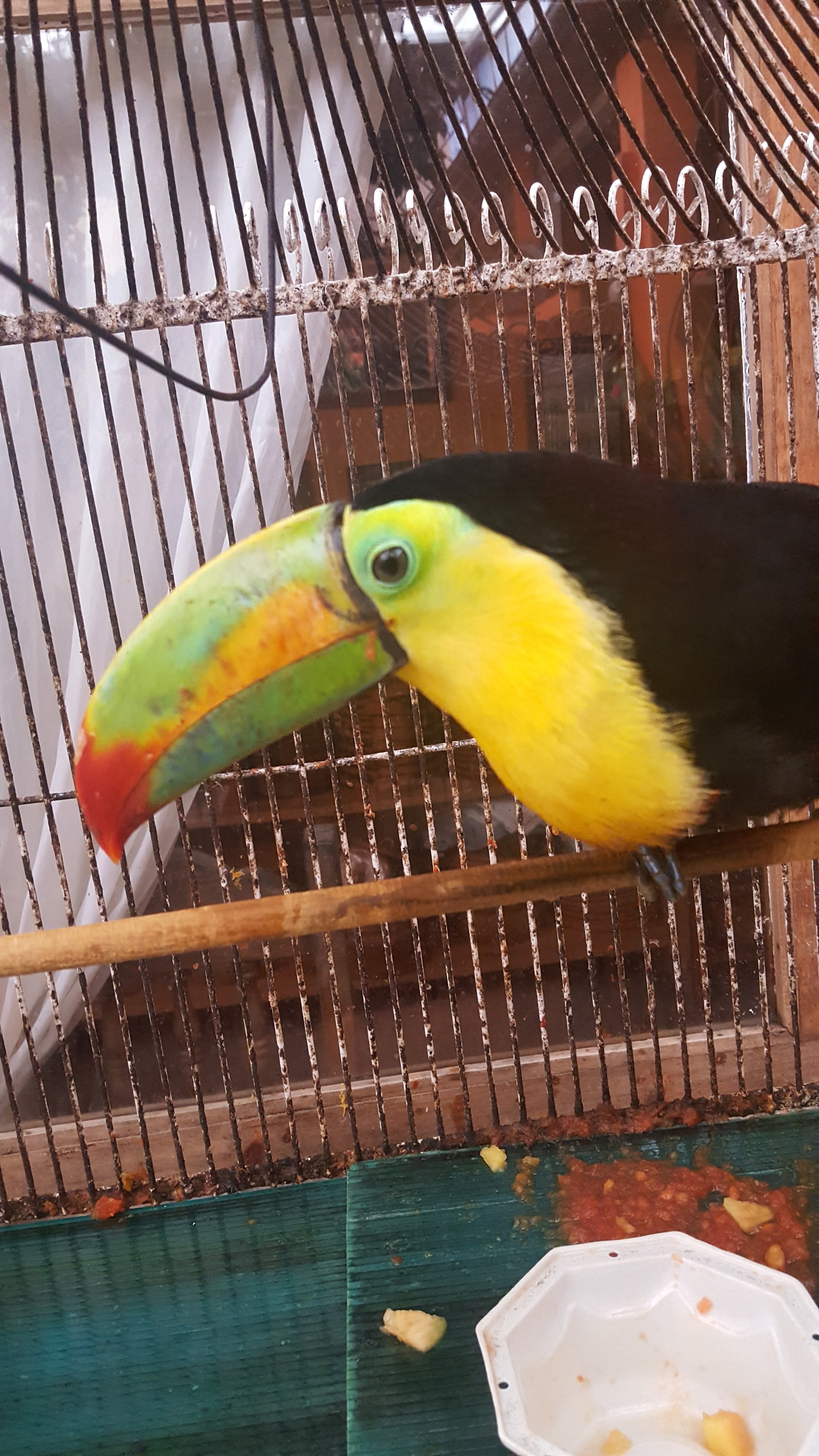 Las Cazuelas Hueyapan Puebla image 5