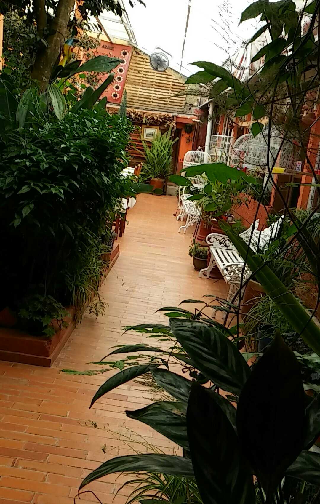 Las Cazuelas Hueyapan Puebla image 9