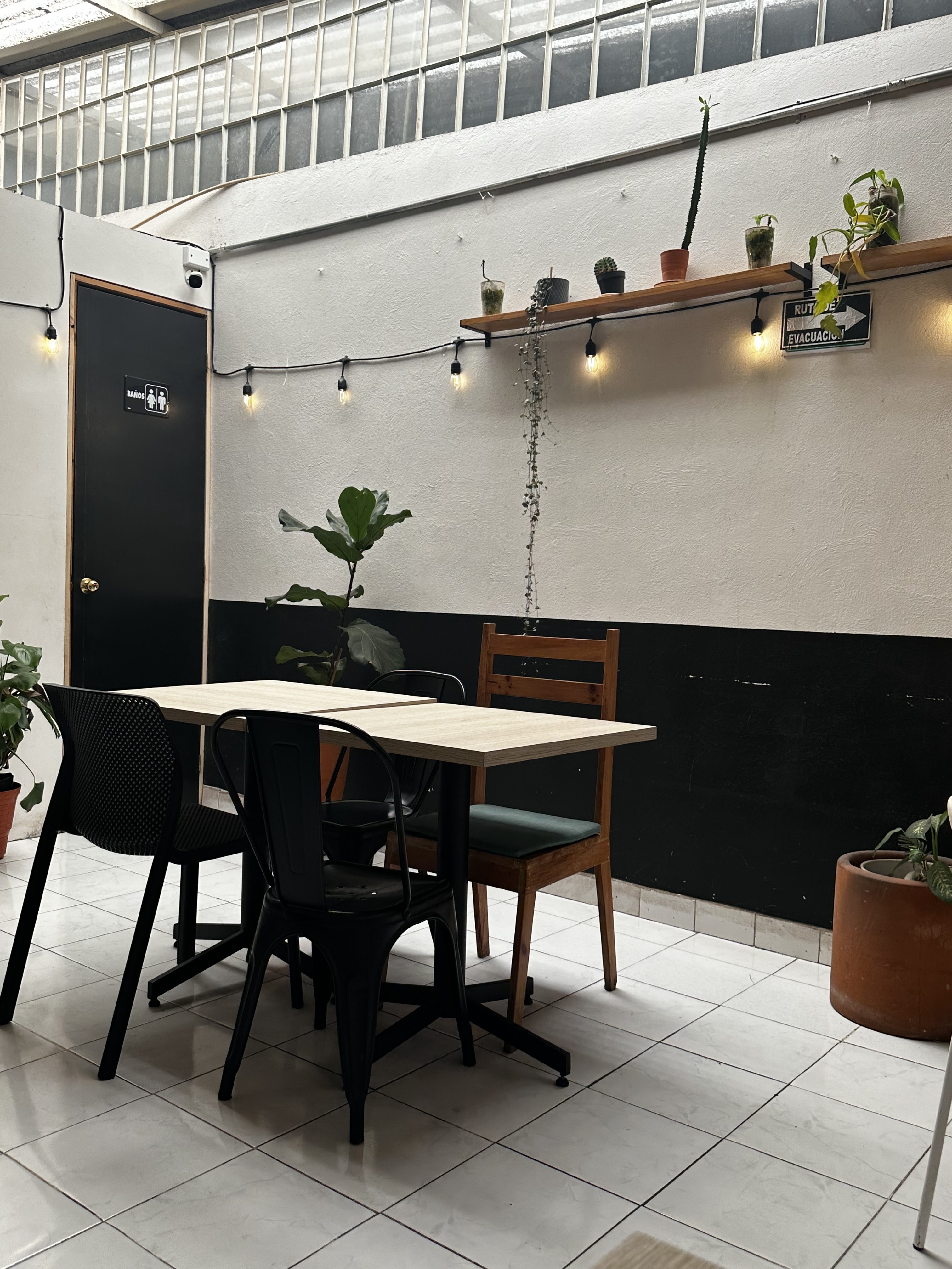 Morimori sushi & ramen image 10