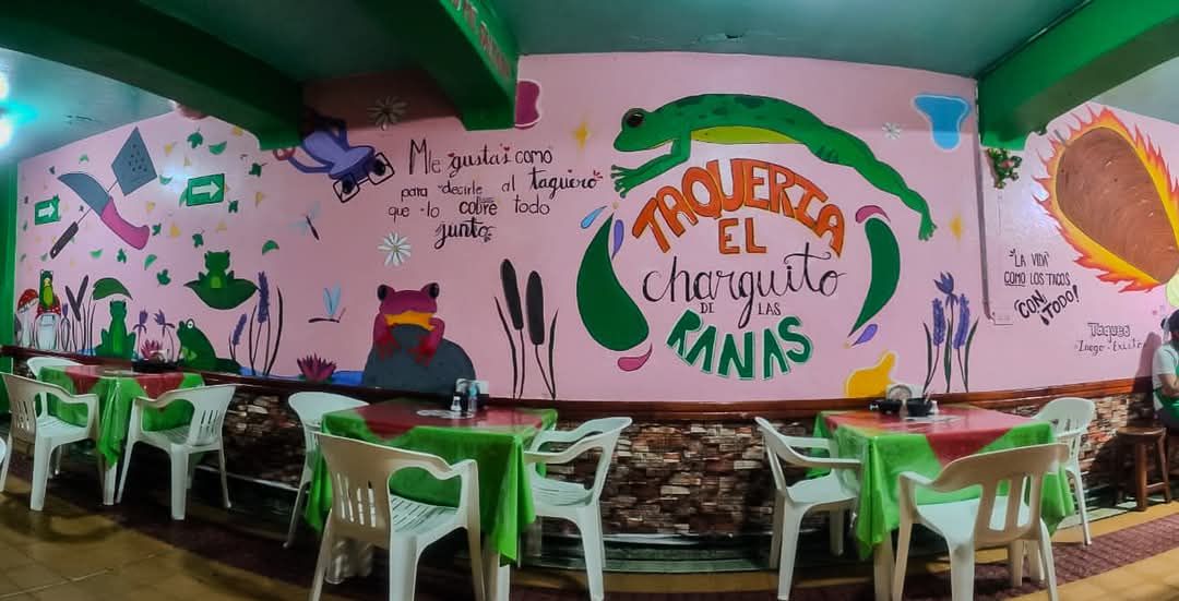 El Charquito De Las Ranas image 7