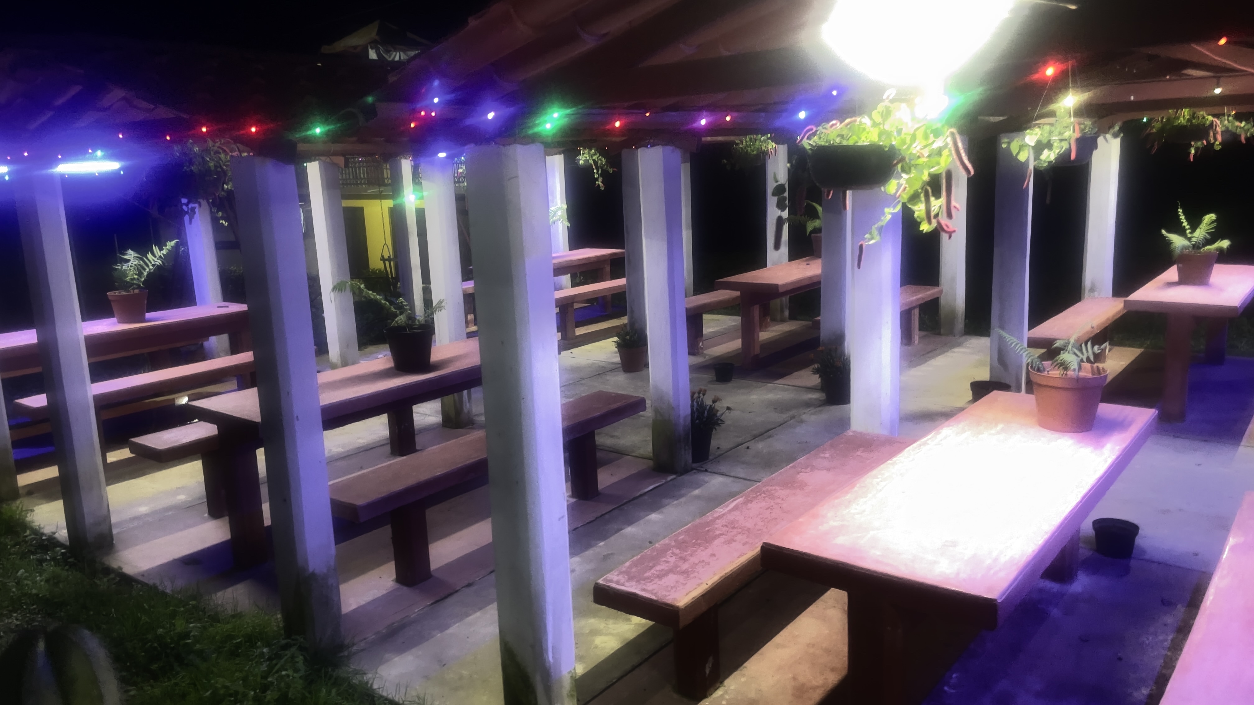 Las Palapas TAQUERÍA Yaonahuac image 8