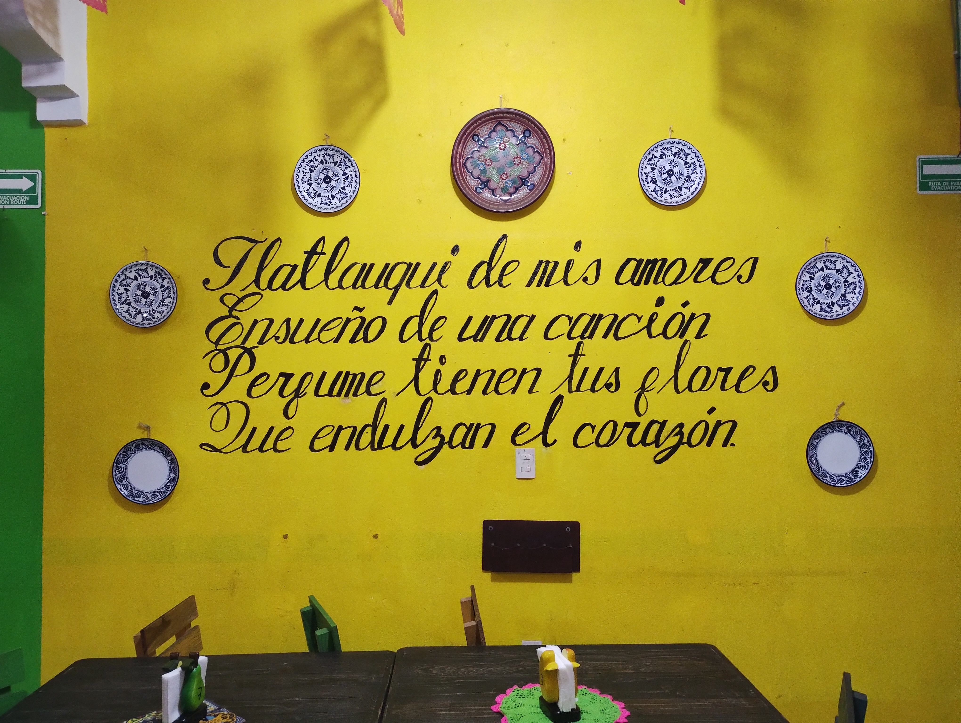 Mi Tlatlauqui image 6