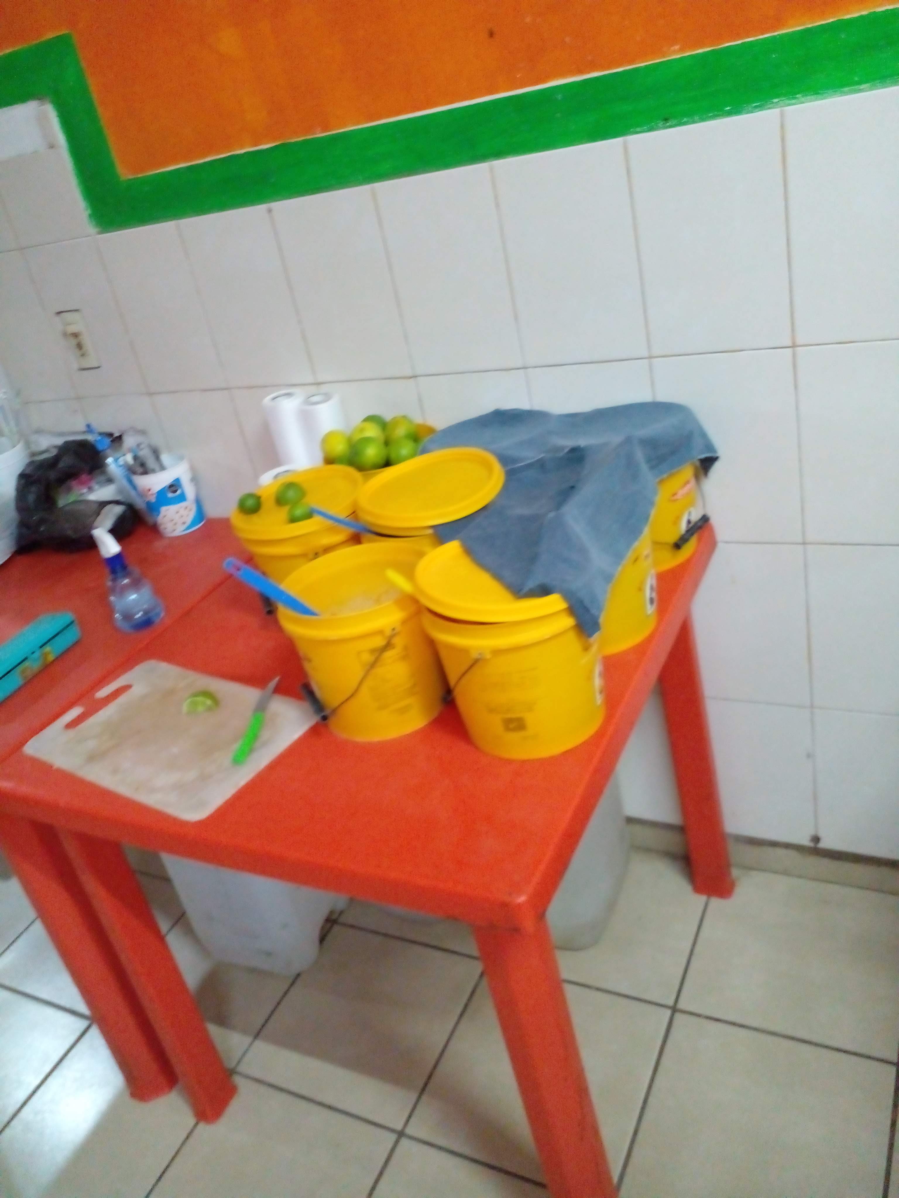 TAQUERIA LOS MOLINOS image 6