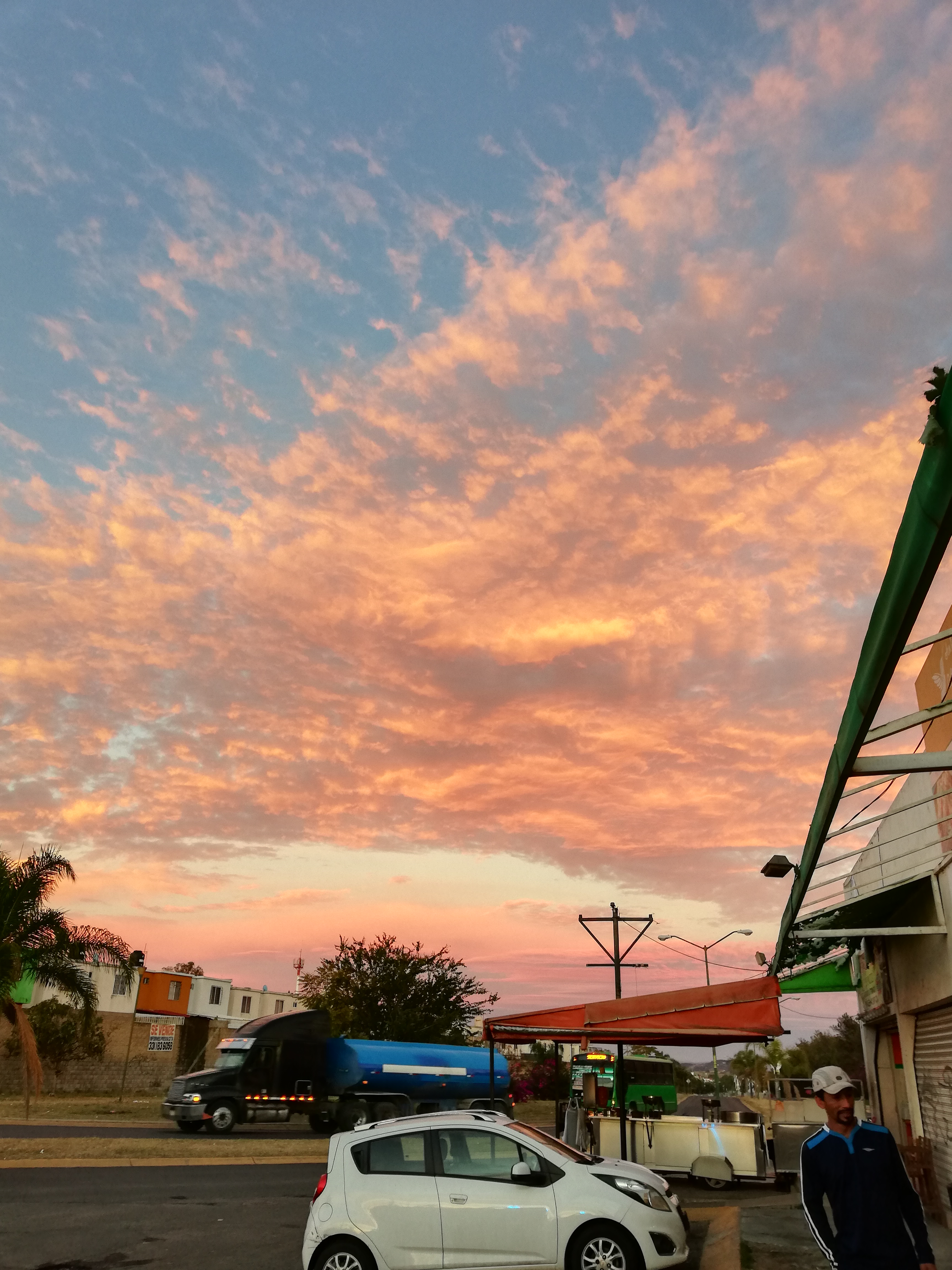 TAQUERIA LOS MOLINOS image 8