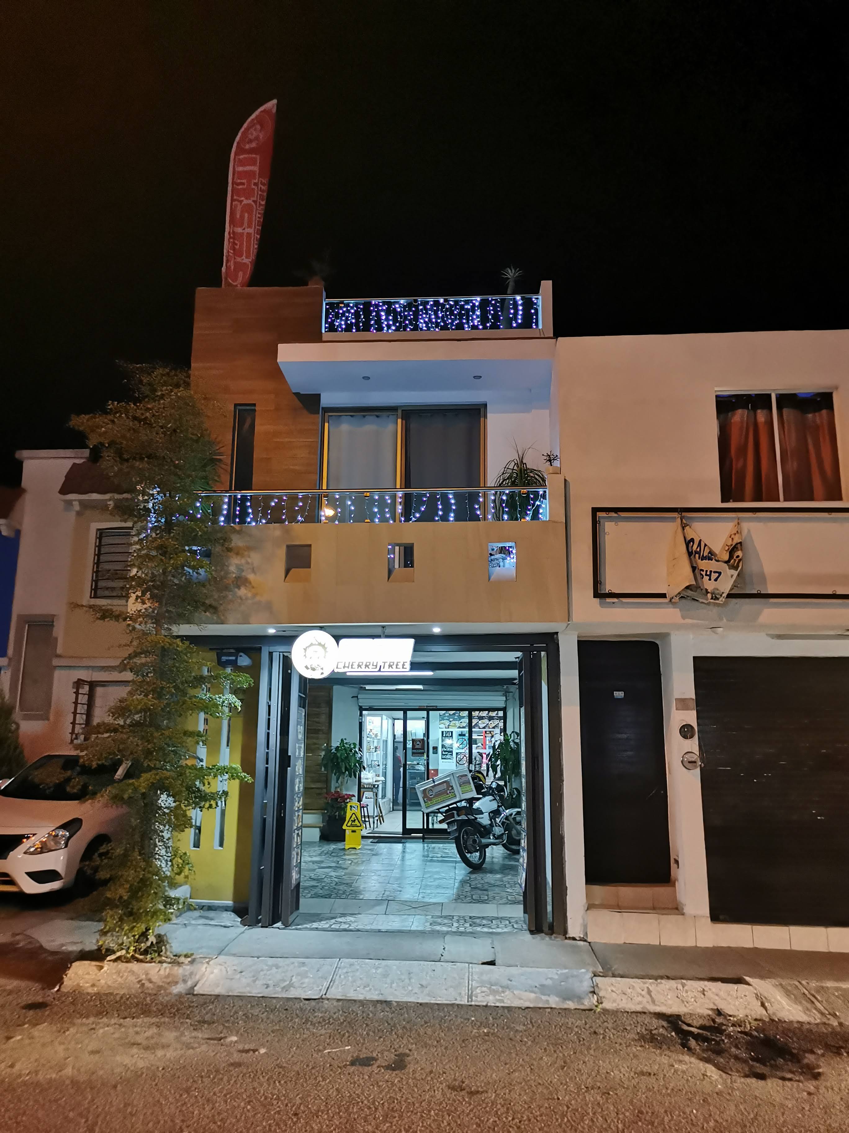 Sushi Cherry Tree image 7