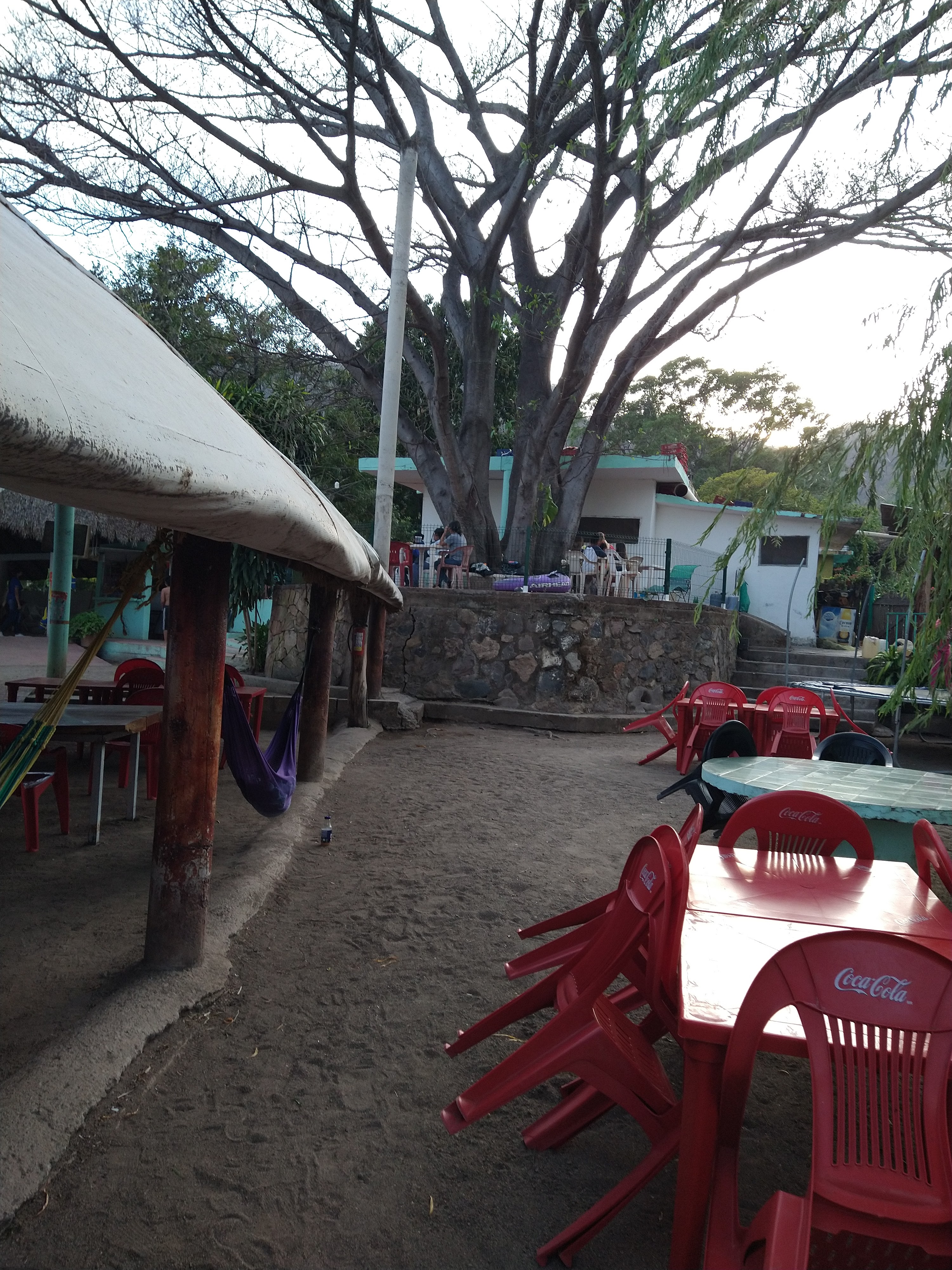 Restauran La Selva image 1