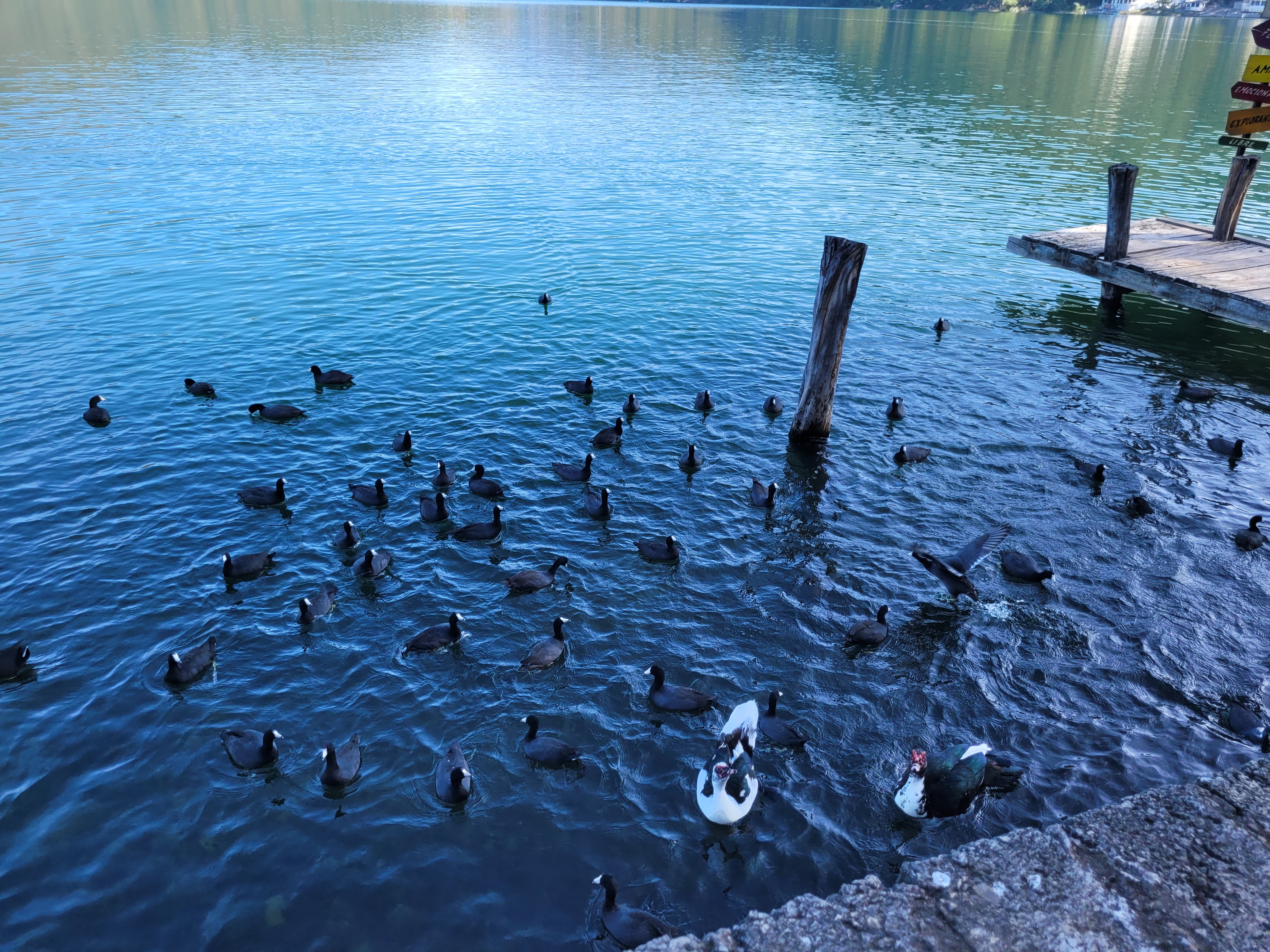 Restaurante Valmora's image 7