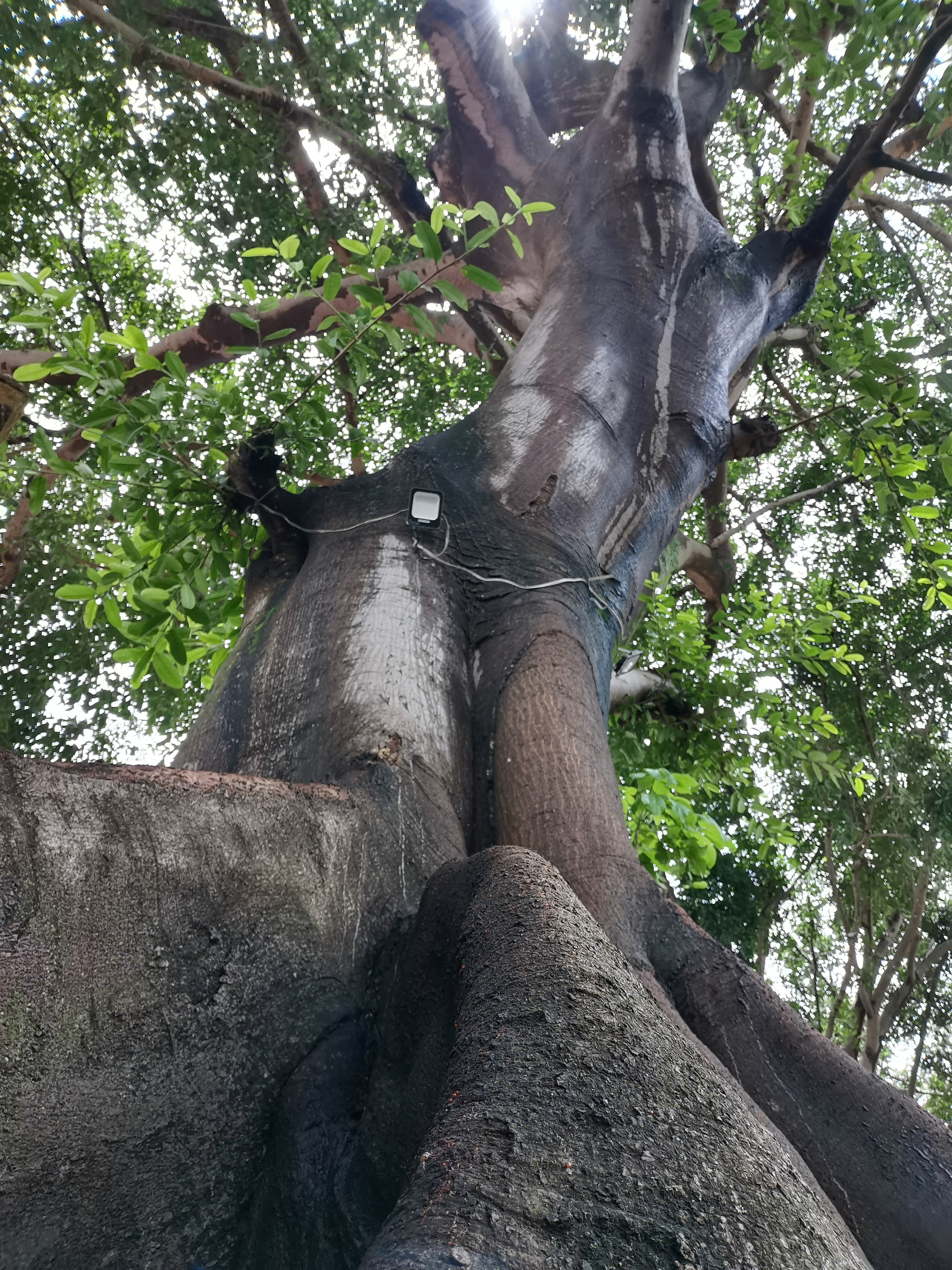 Restaurante Valmora's image 8