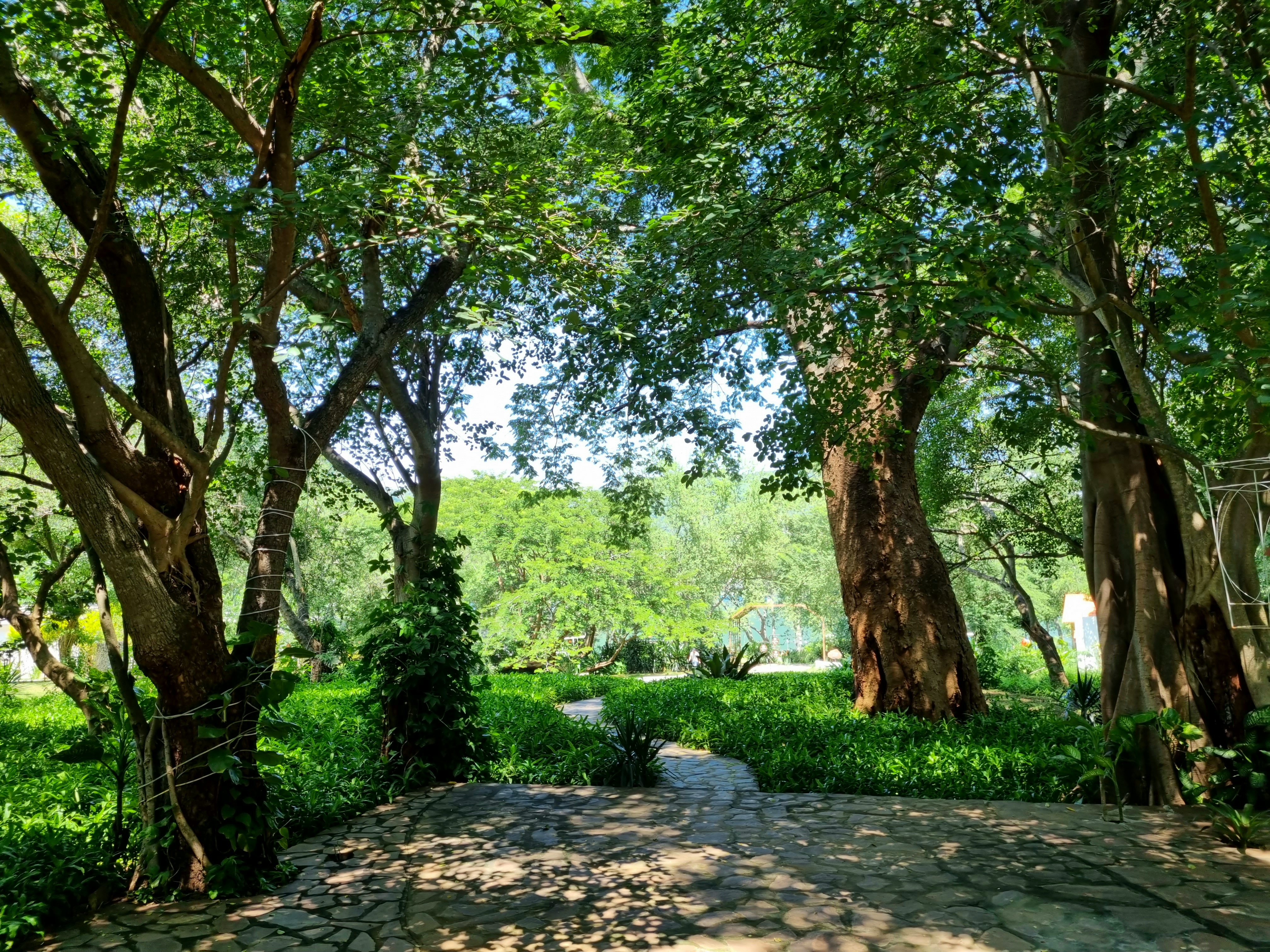 Restauran Los Tules image 8