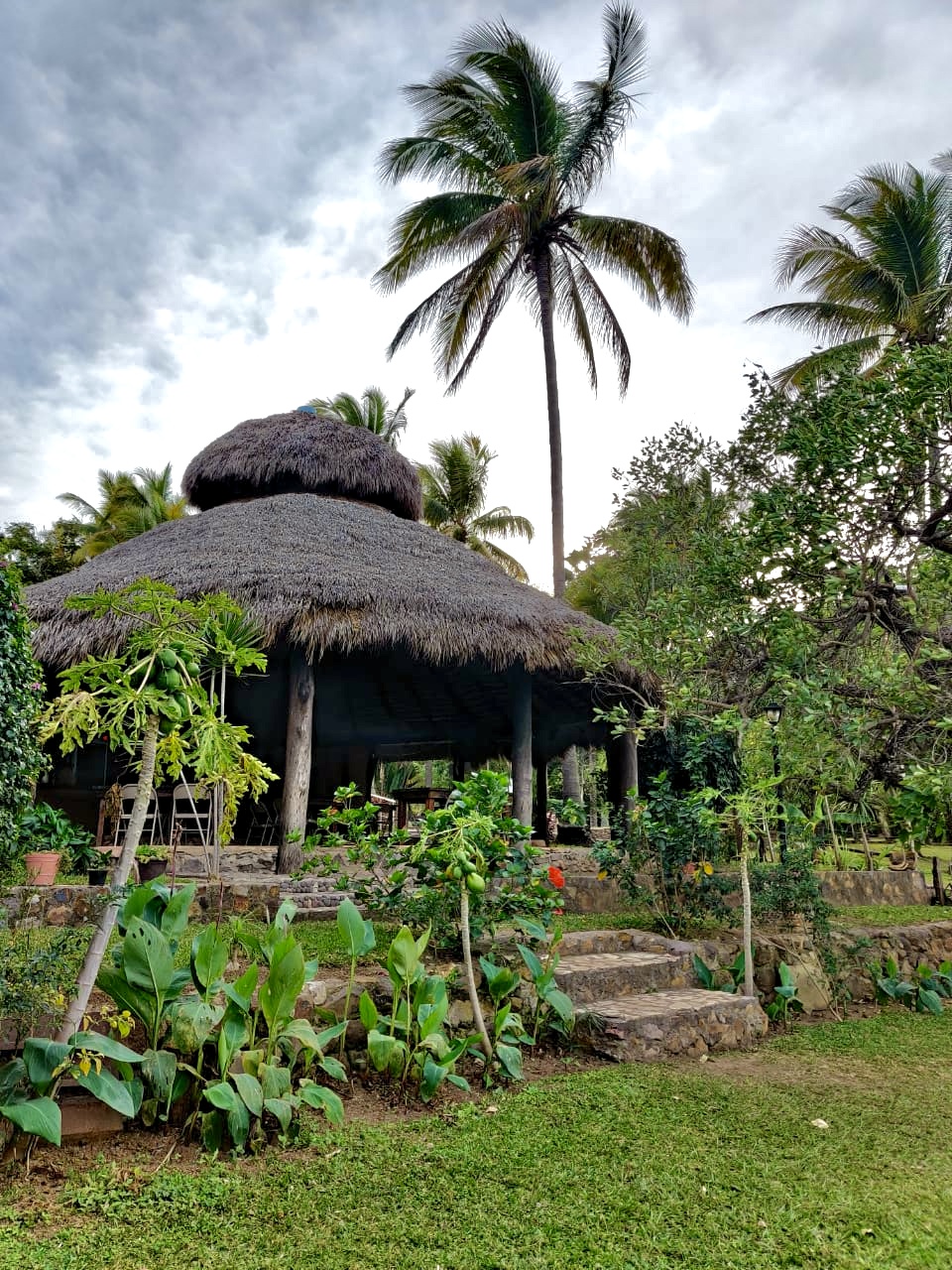 La mojarra de SAMAO image 8