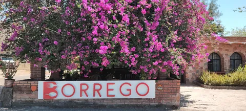 BORREGO B image 3