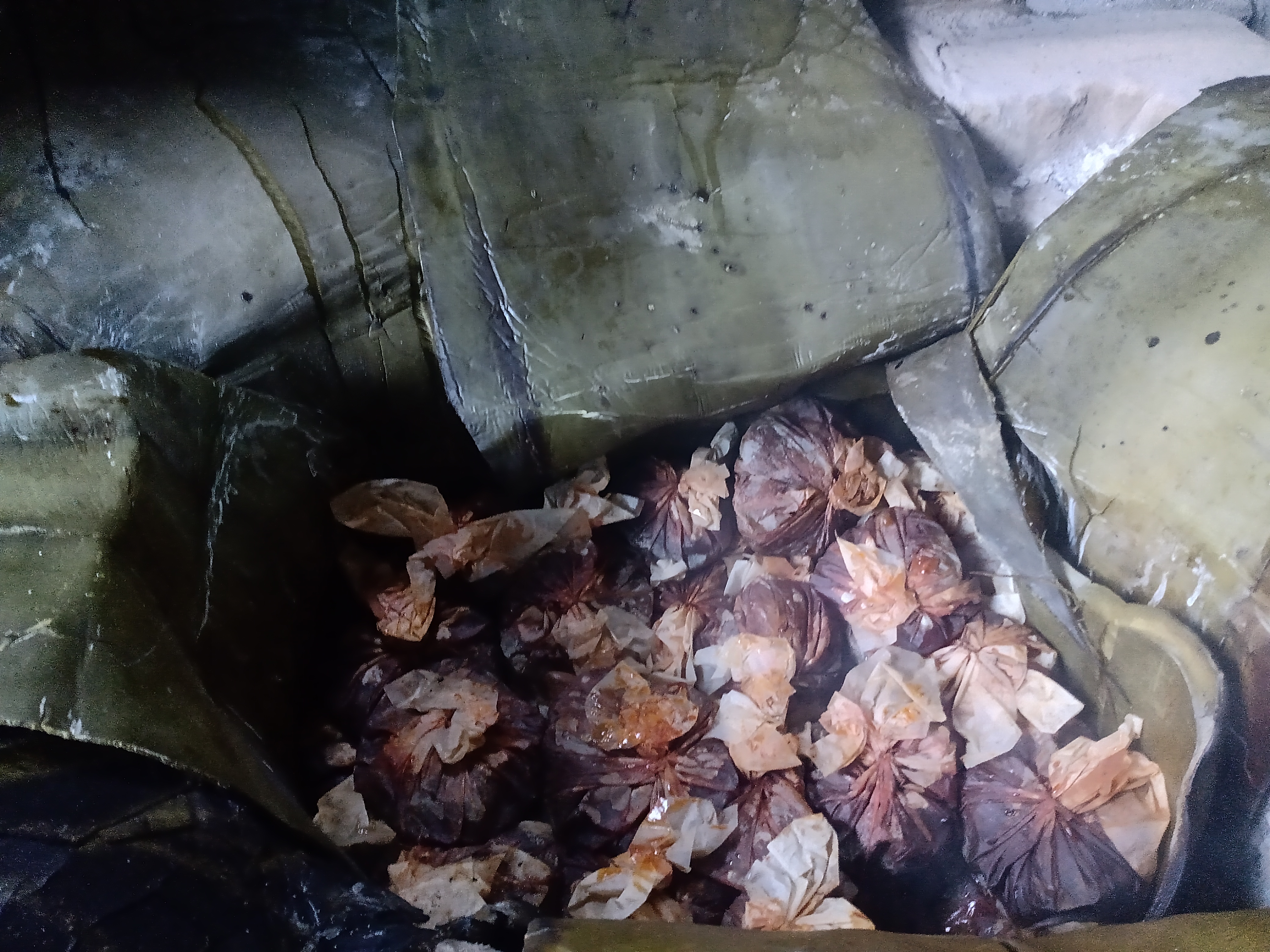 BARBACOA EL PIRATA image 3