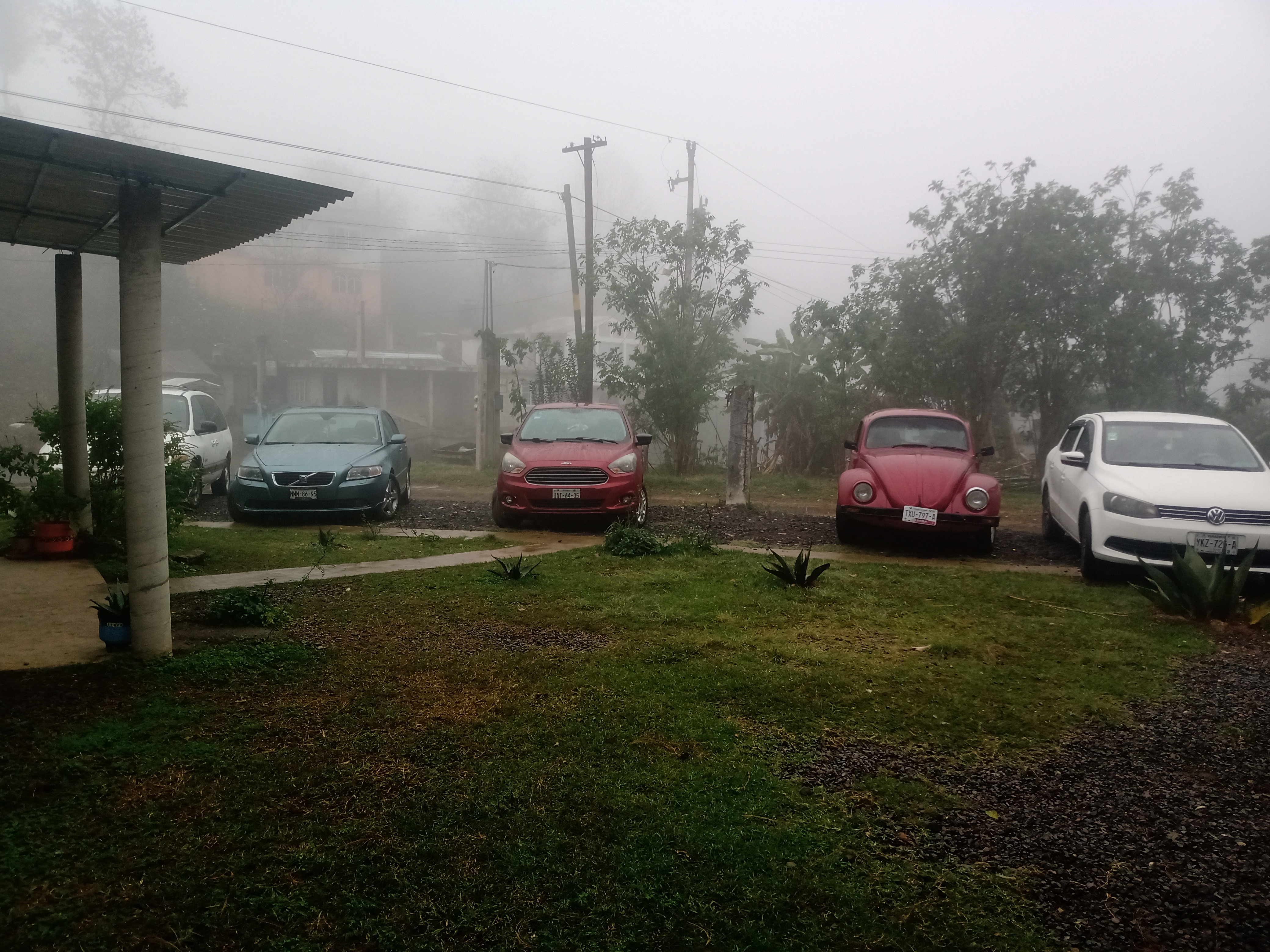 BARBACOA EL PIRATA image 4