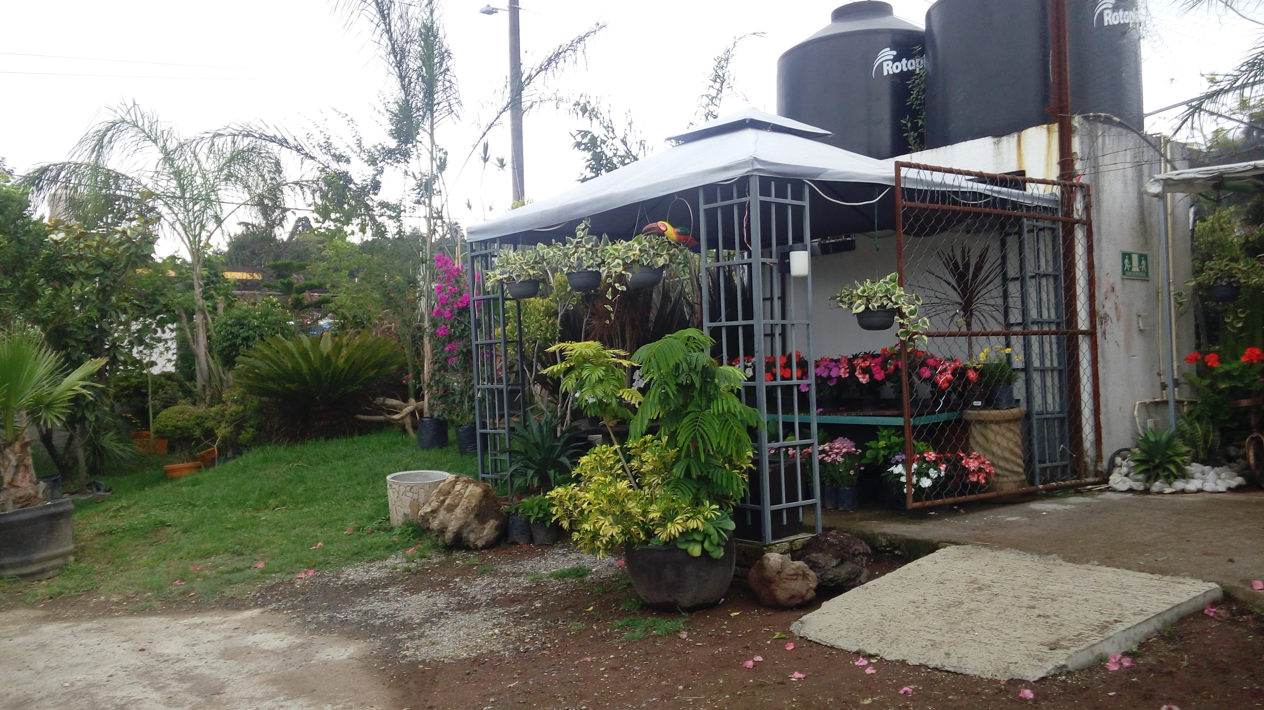 La Villa del Grill image 6