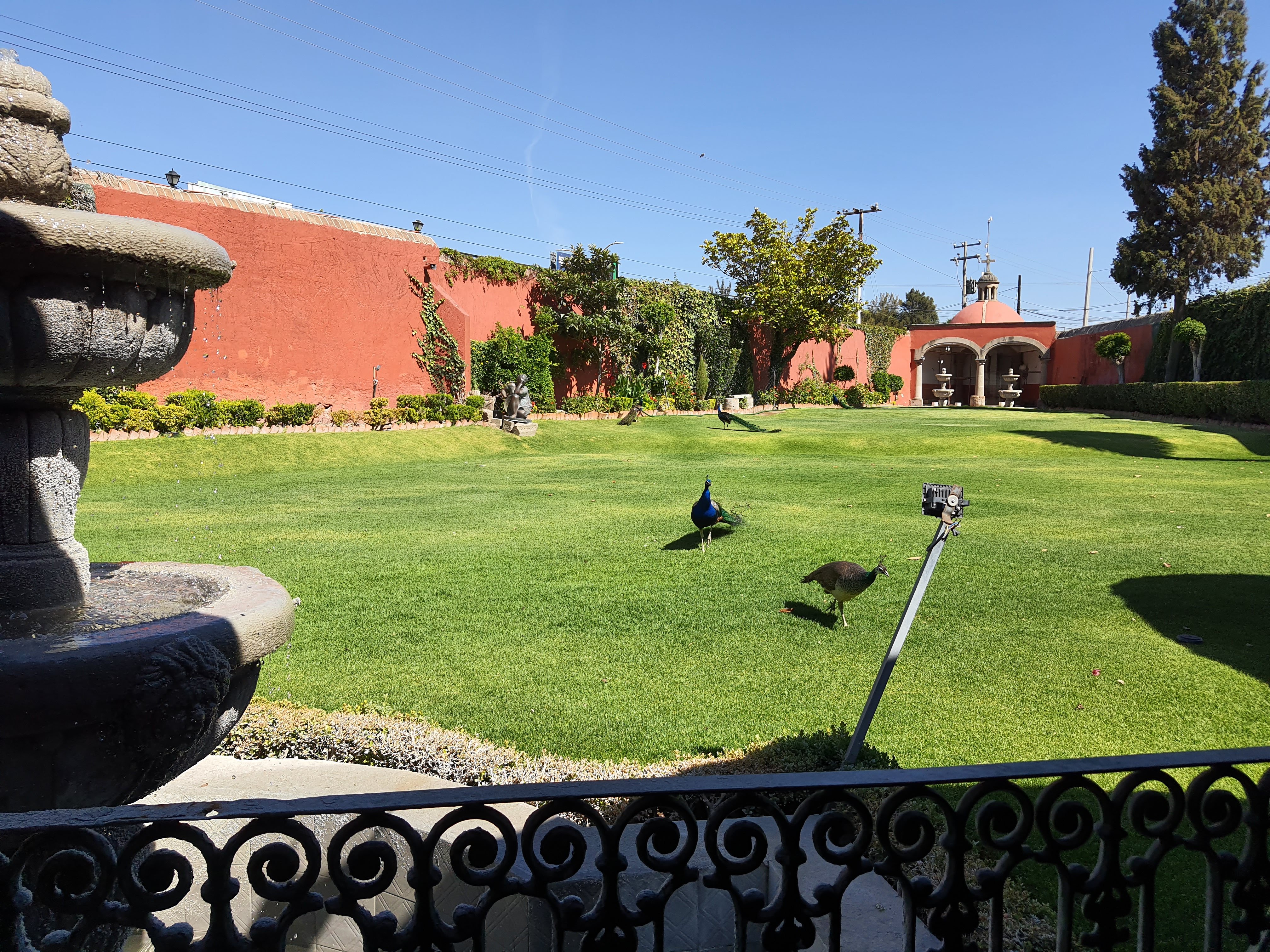 Restaurant Antigua Hacienda la Noria image 2