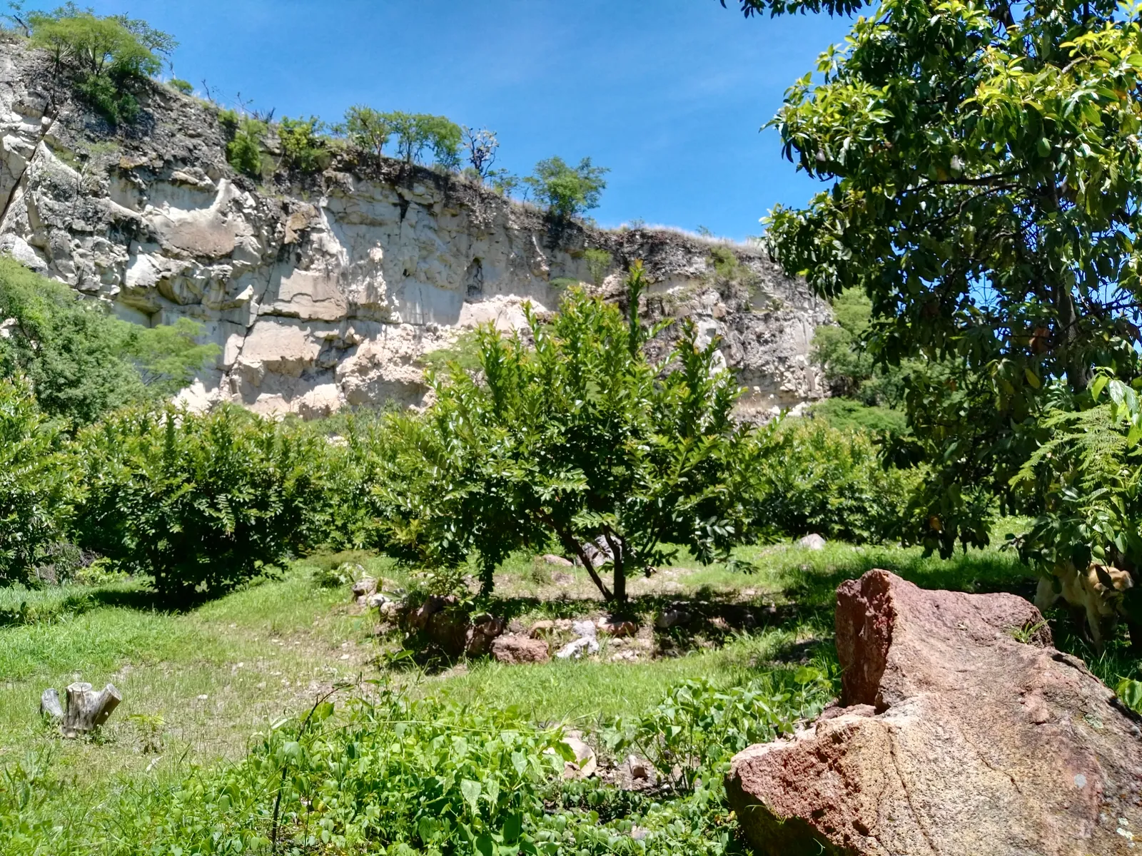 La Haciendita image 10