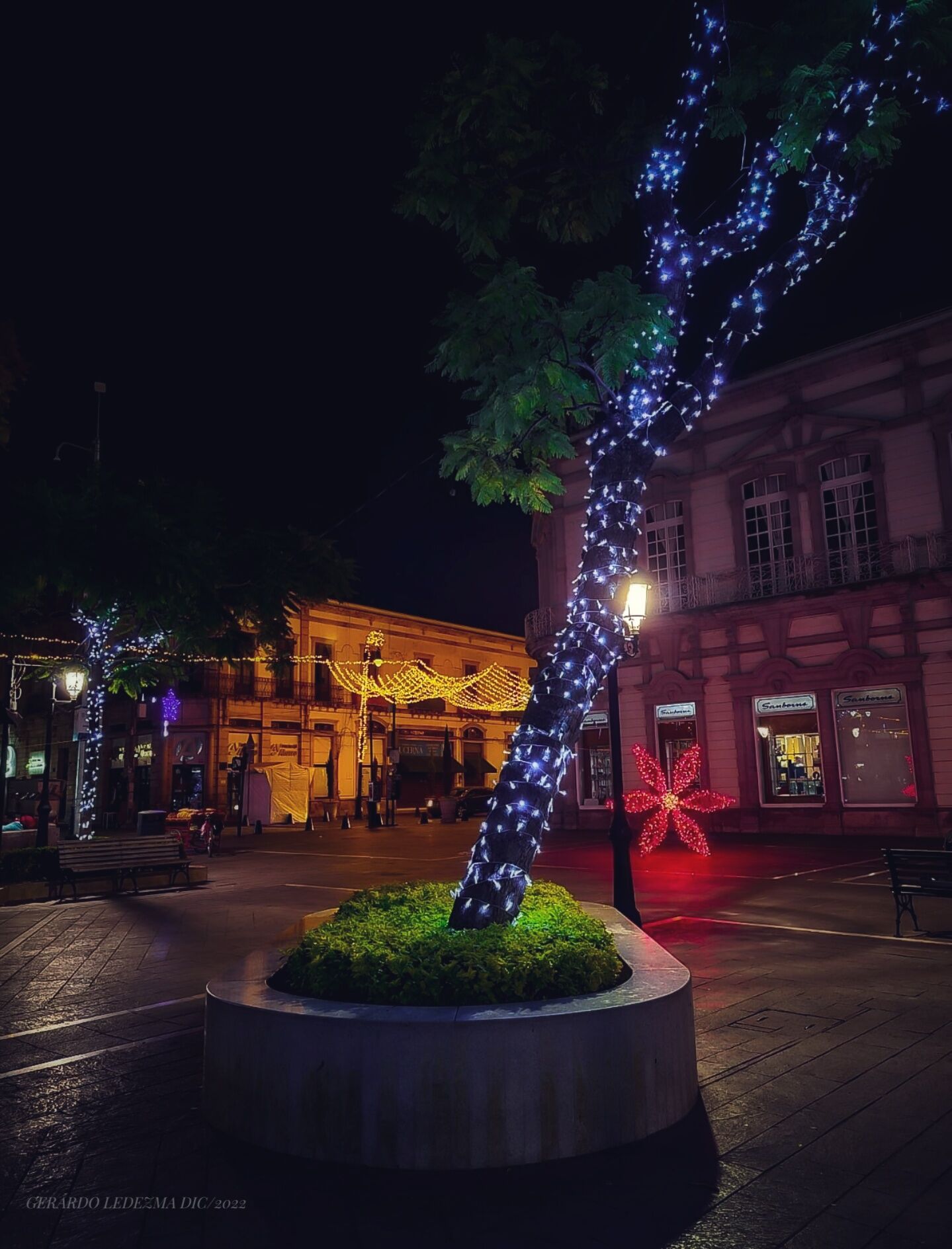Sanborns image 6