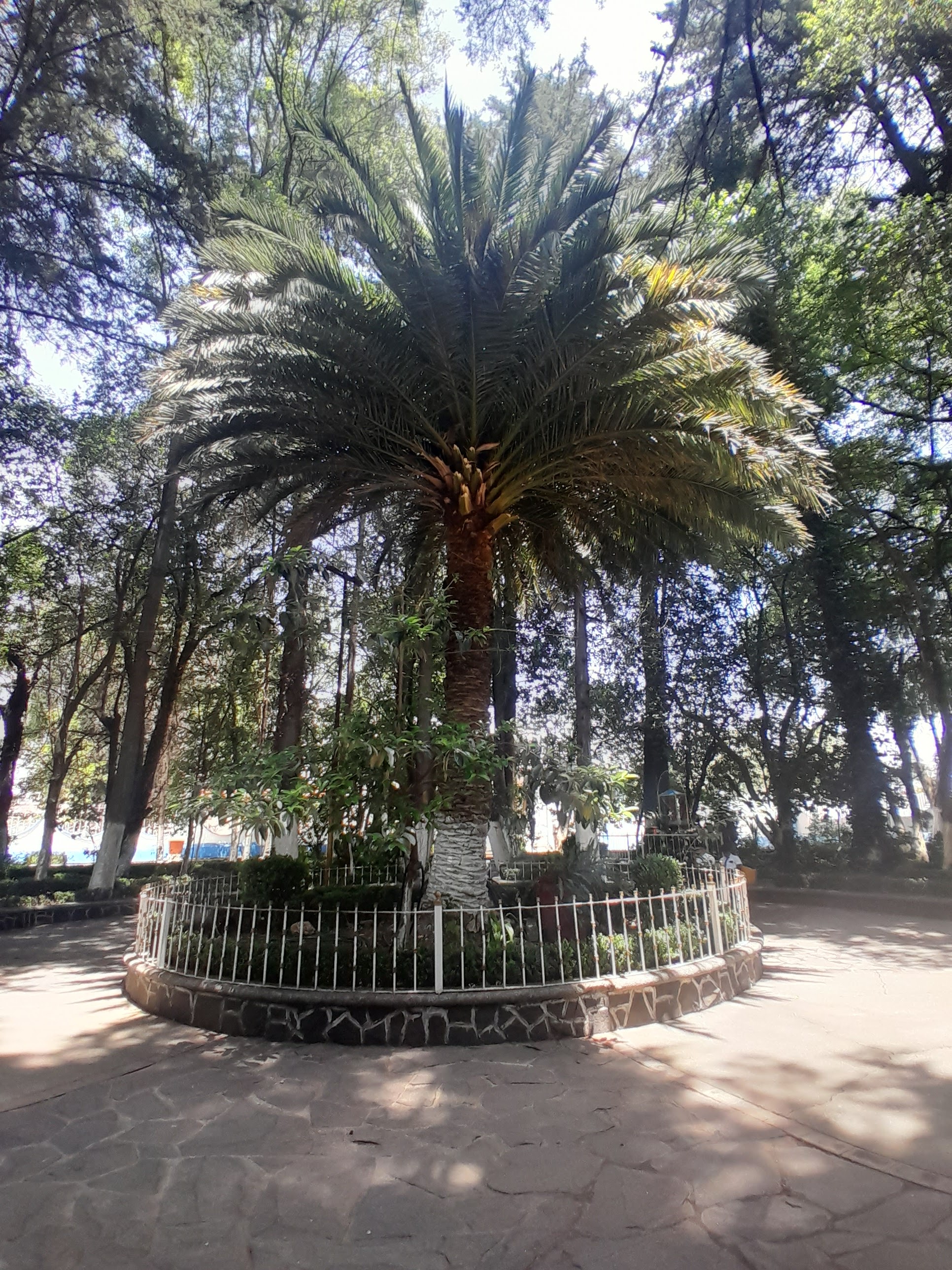 El Ojo de Agua image 9