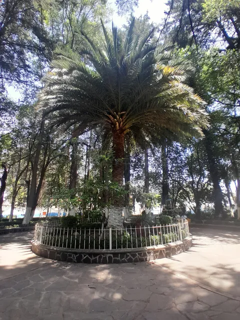 El Ojo de Agua image 9
