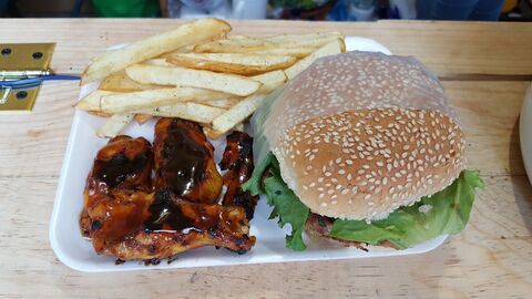 Mr. Wings image 2