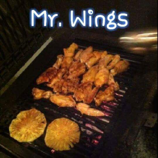 Mr. Wings image 6