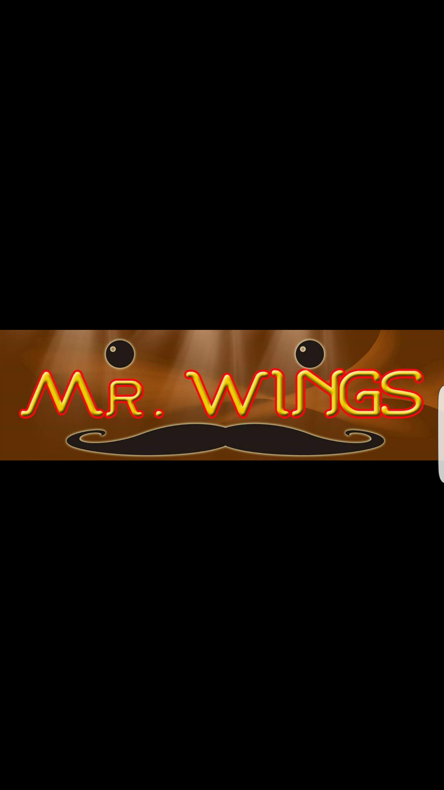 Mr. Wings image 8