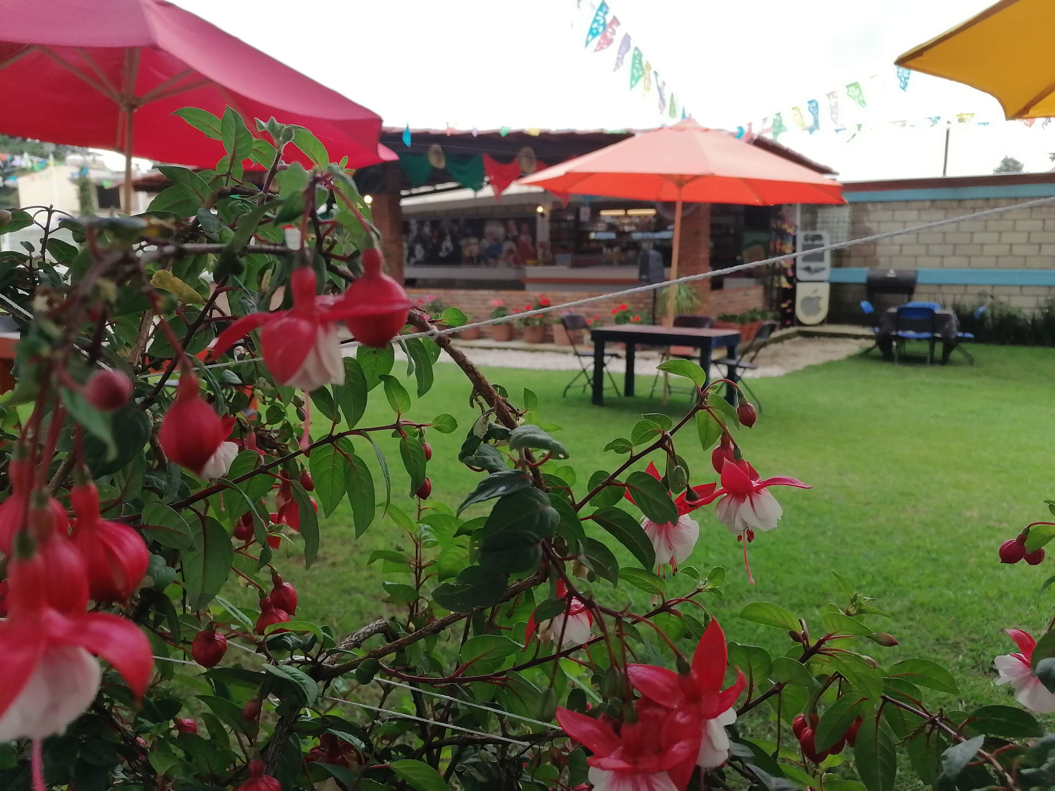 Sabor a México Restaurante Familiar image 4