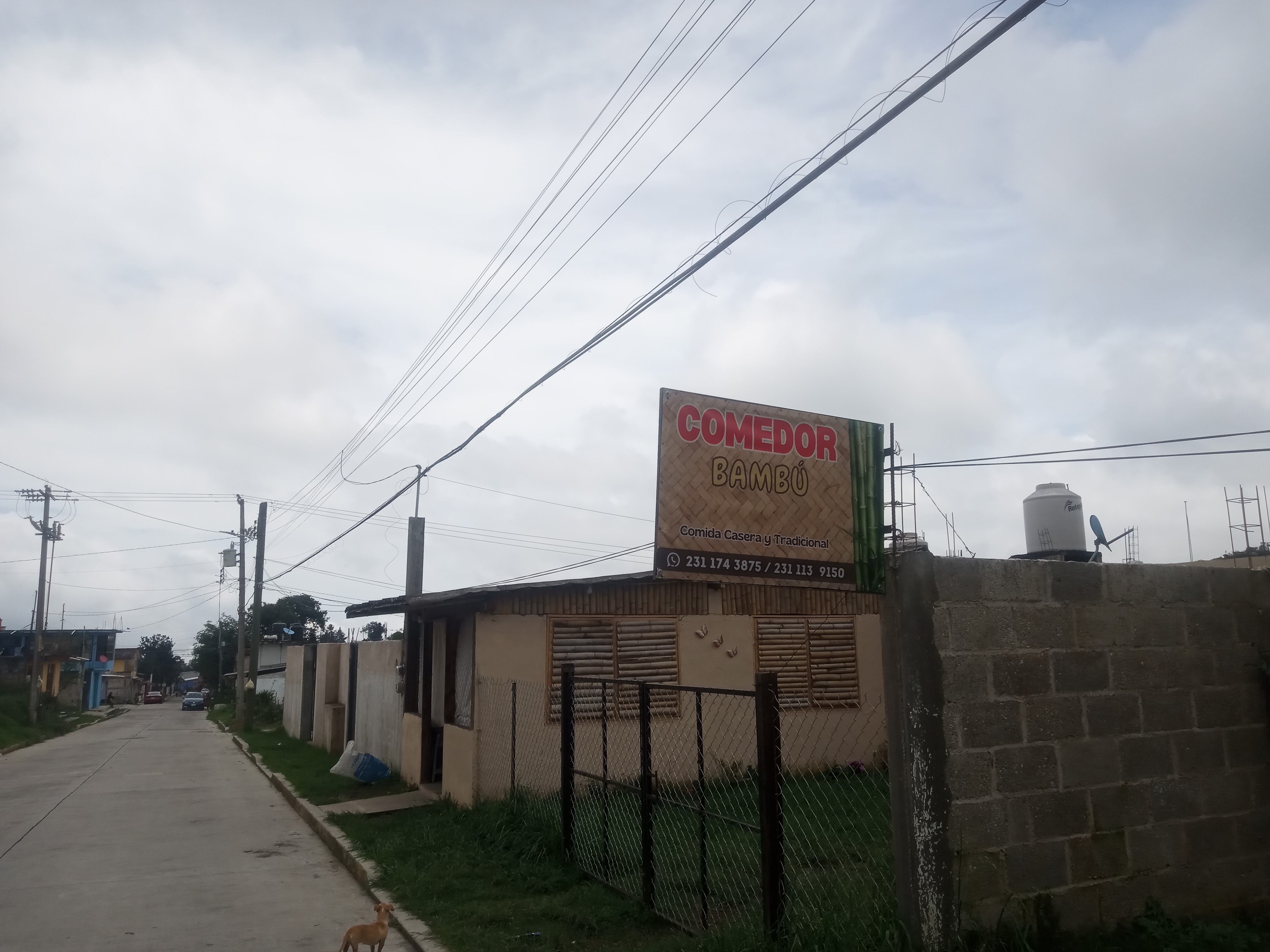 Comedor "Bambu" image 8