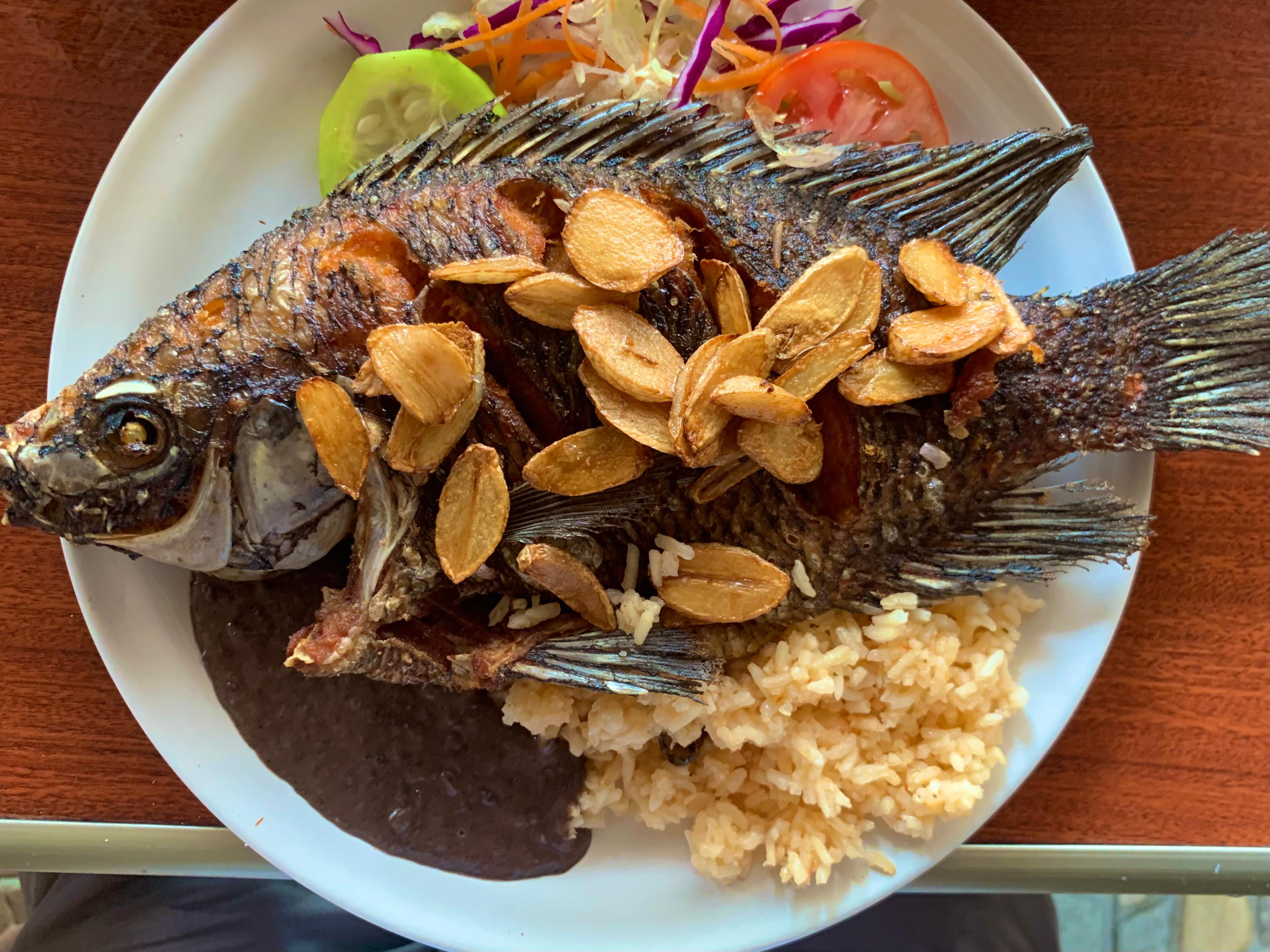 The Fort 1847 image 7