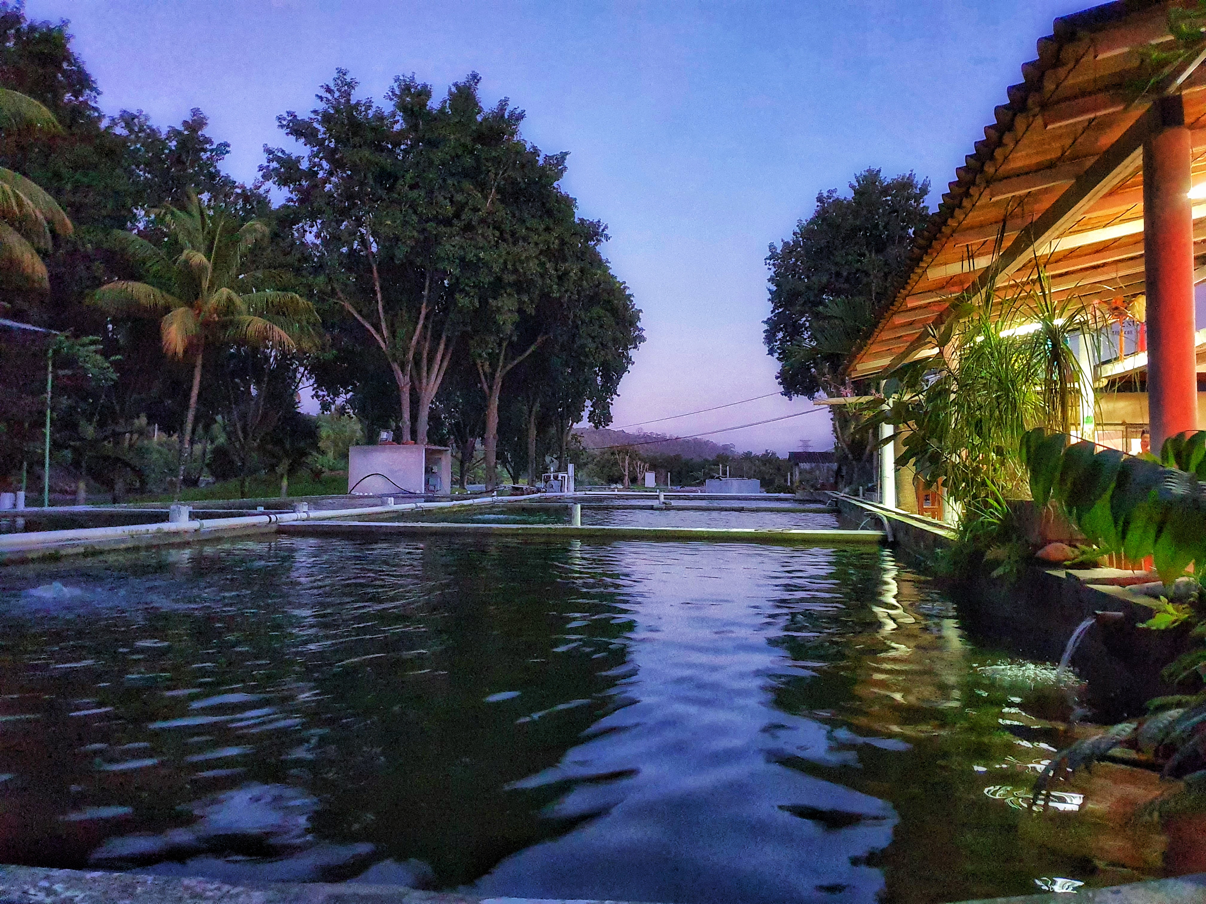 The Fort 1847 image 8