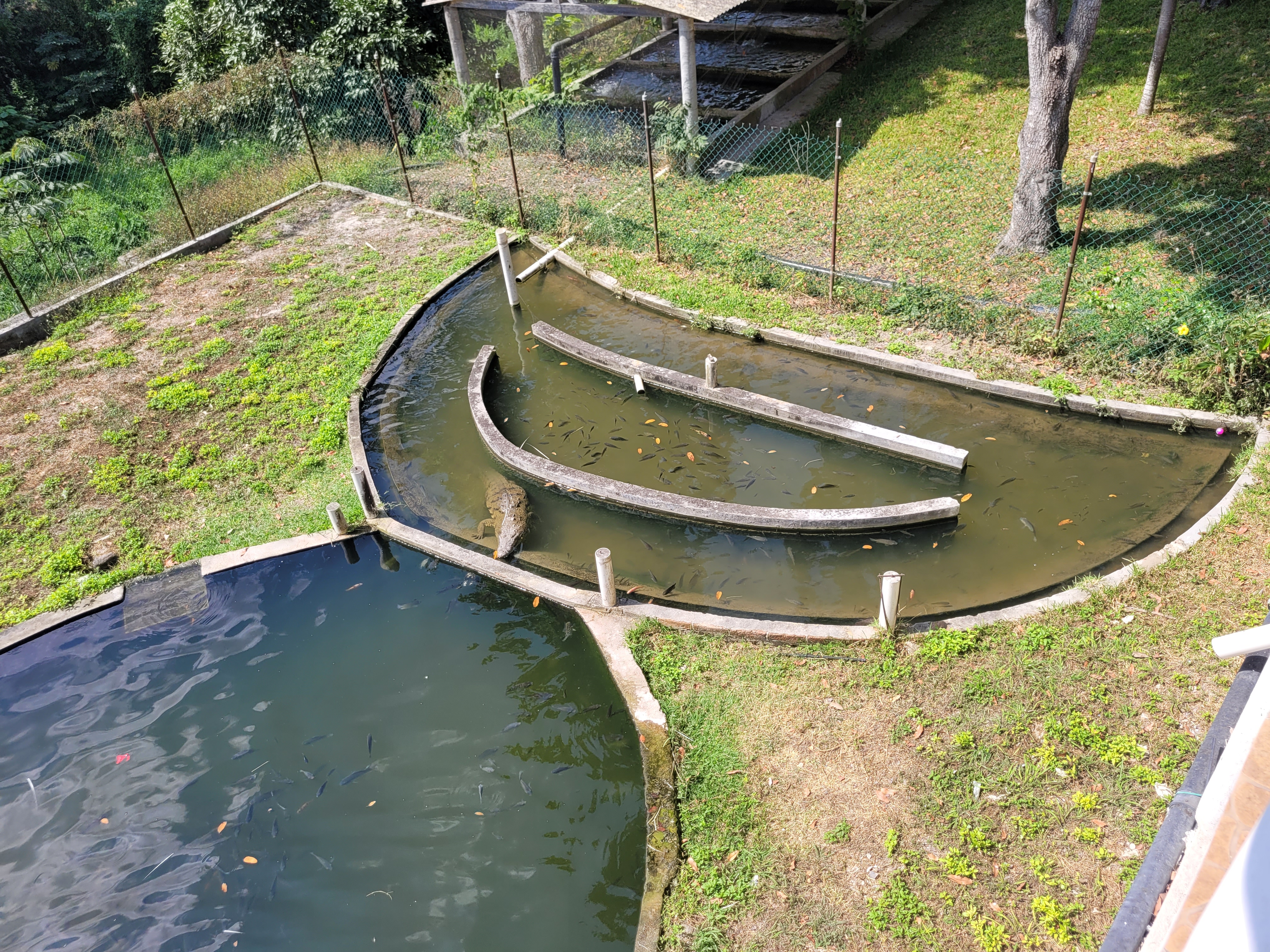 The Fort 1847 image 10