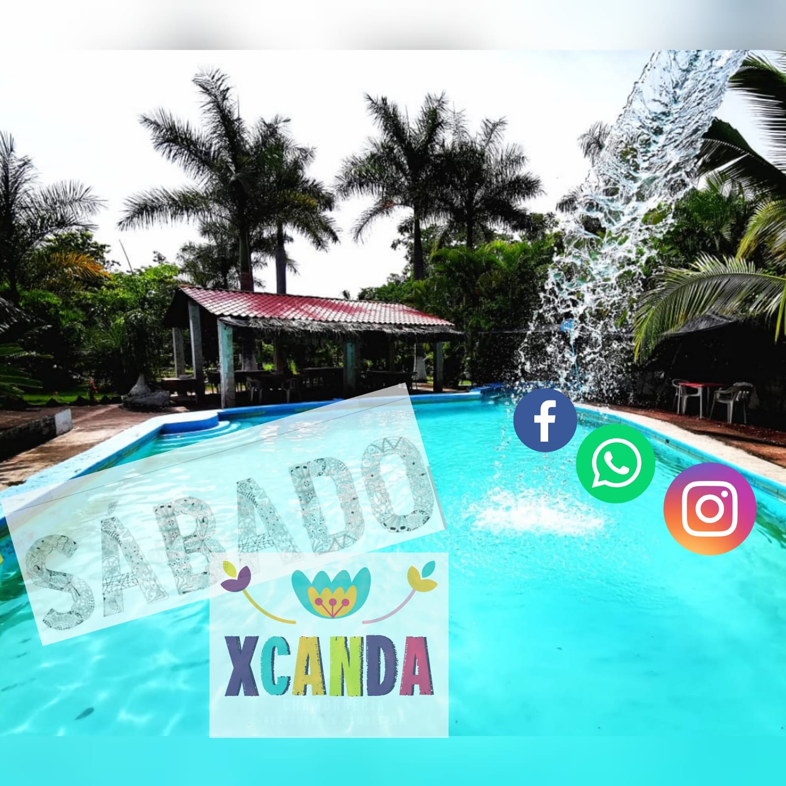 Chamorreria Xcanda image 3