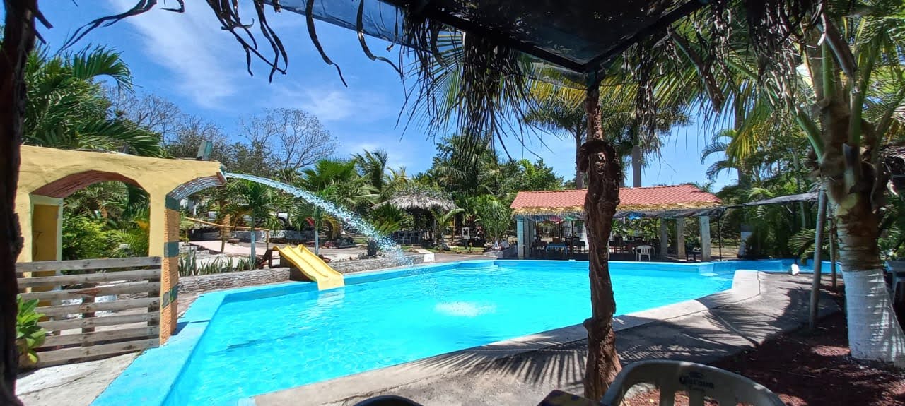 Chamorreria Xcanda image 4