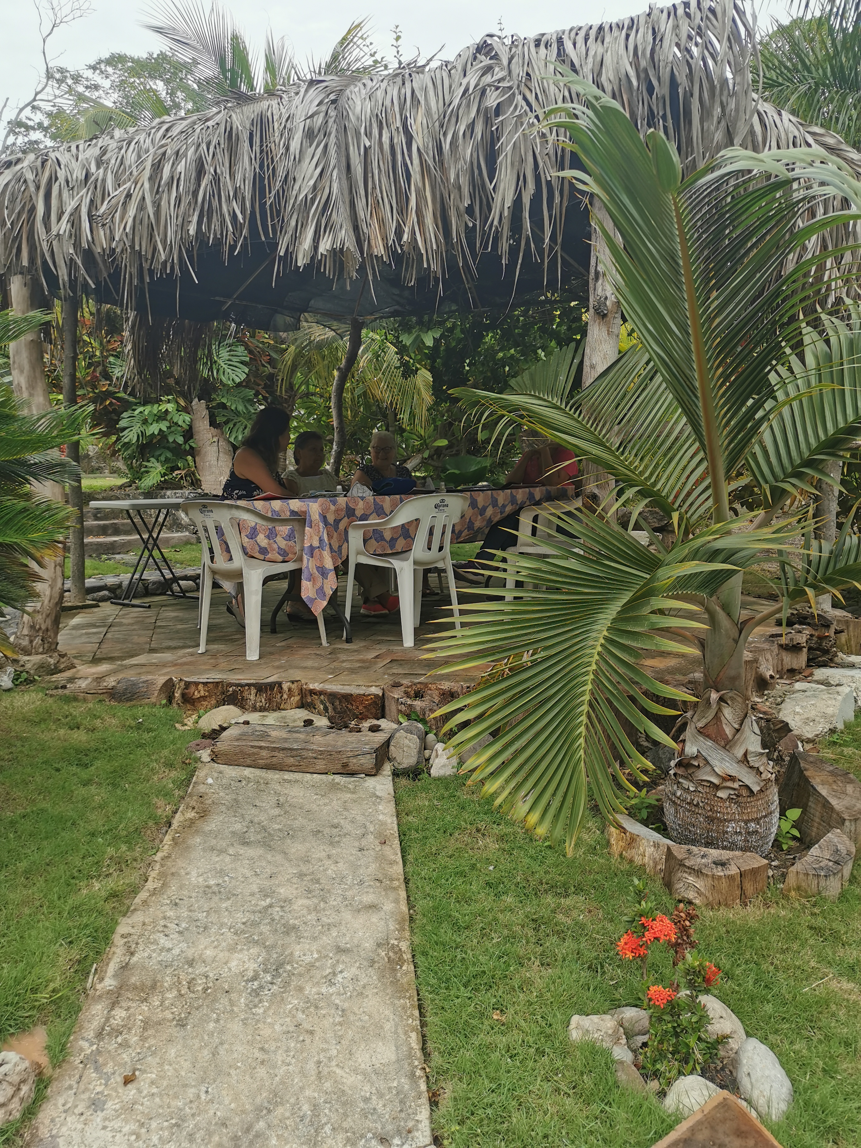 Chamorreria Xcanda image 7