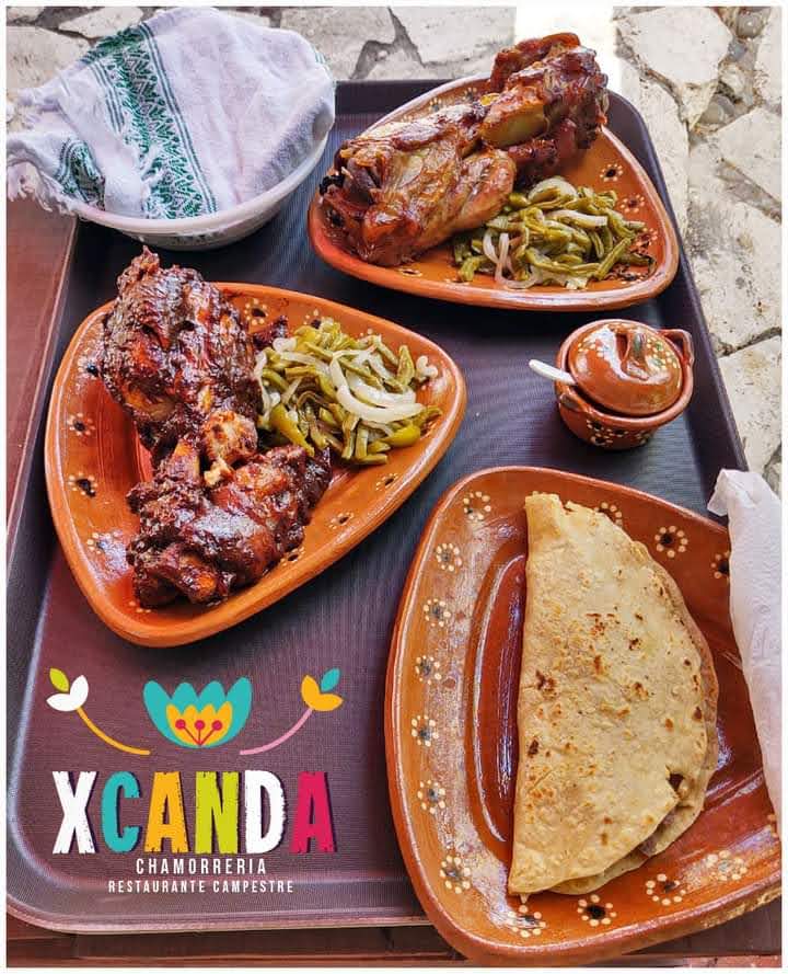 Chamorreria Xcanda image 8