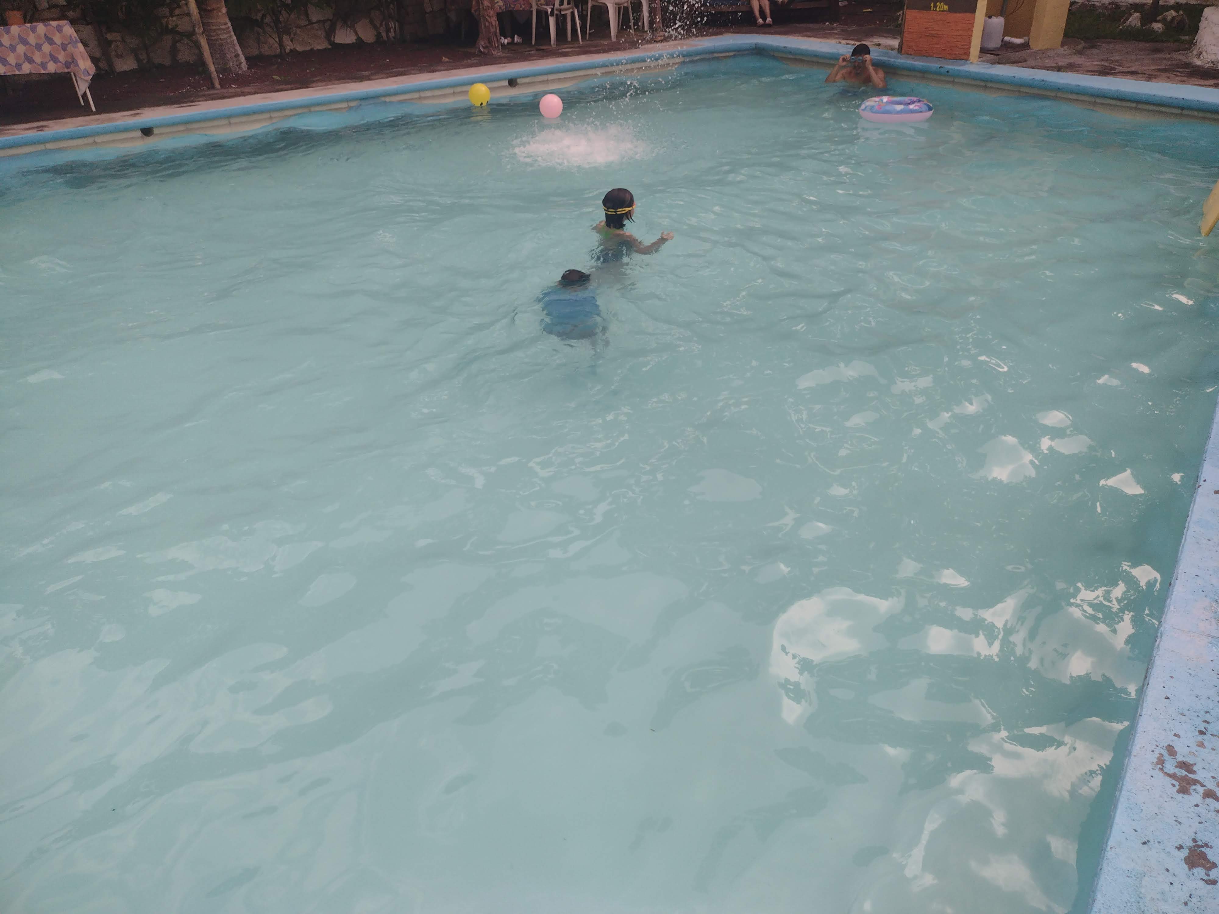 Chamorreria Xcanda image 9