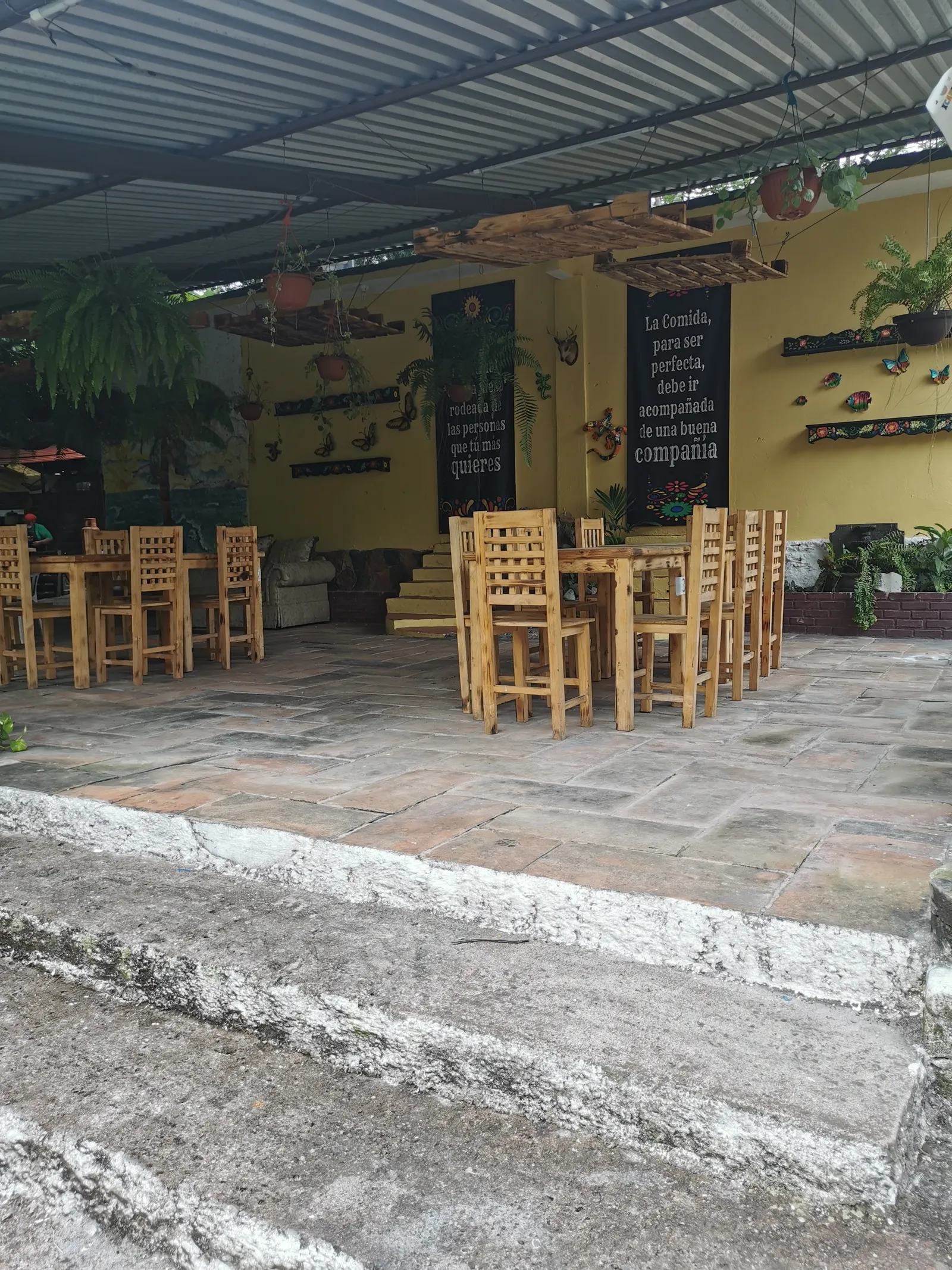 Chamorreria Xcanda image 10