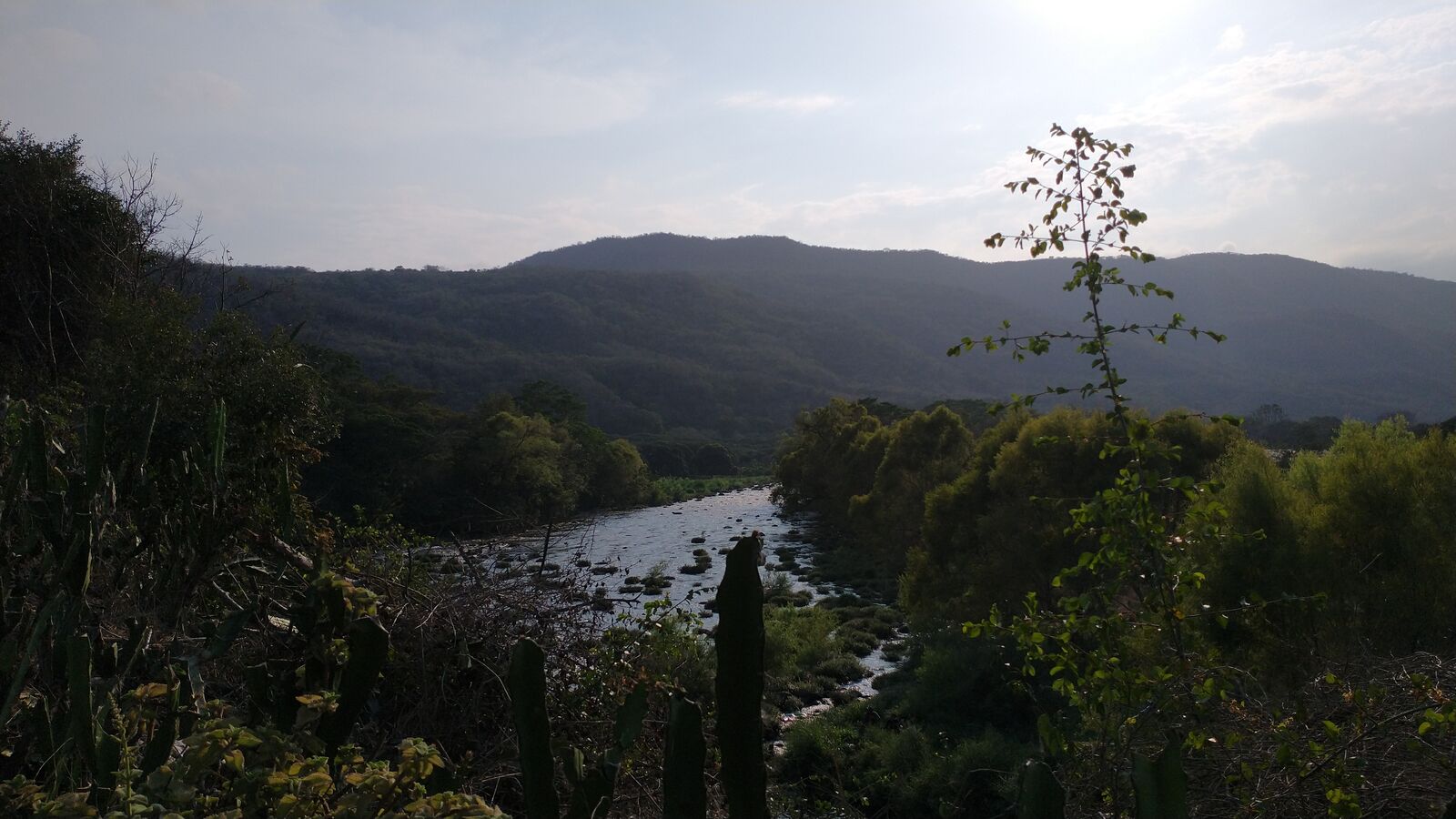 El Quetzal image 5