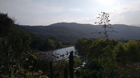 El Quetzal image 5