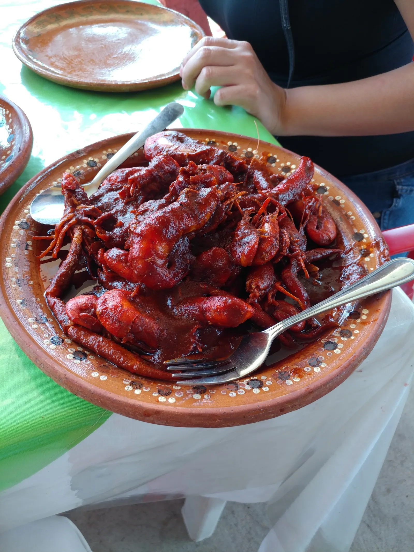 El Quetzal image 10