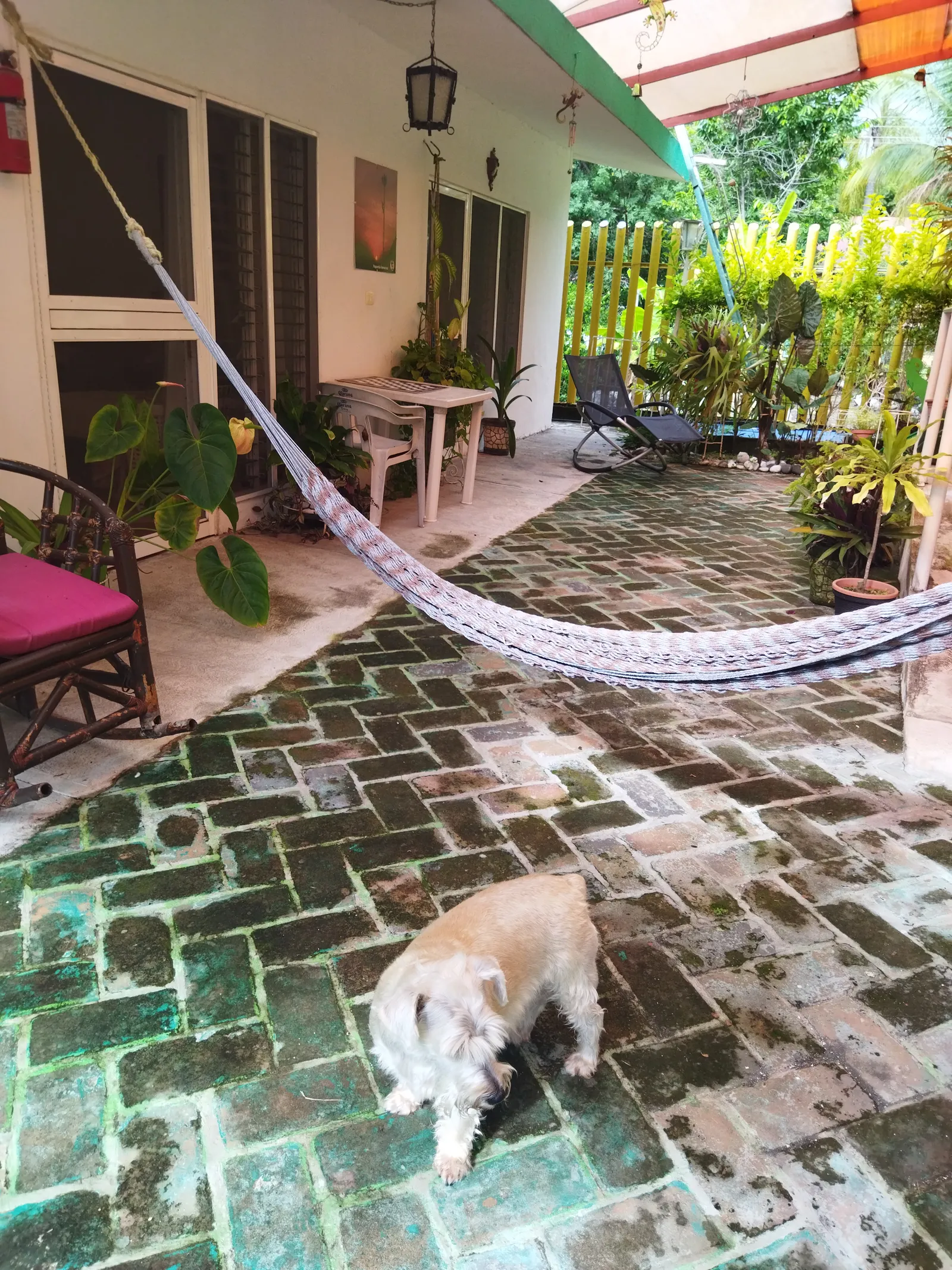 Hotel "Las Iguanas" image 2